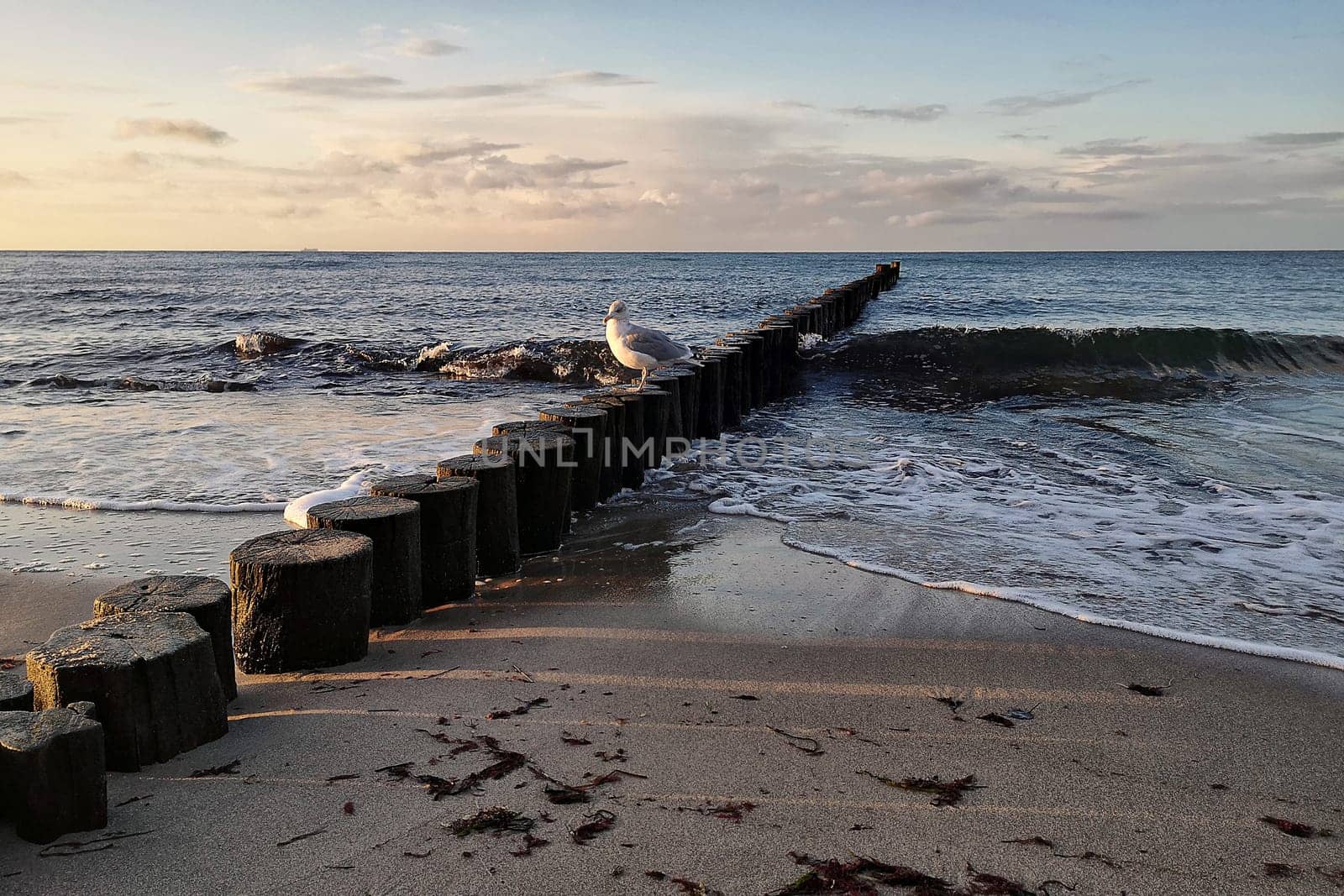 Mecklenburg Baltic Sea coast, Kühlungsborn