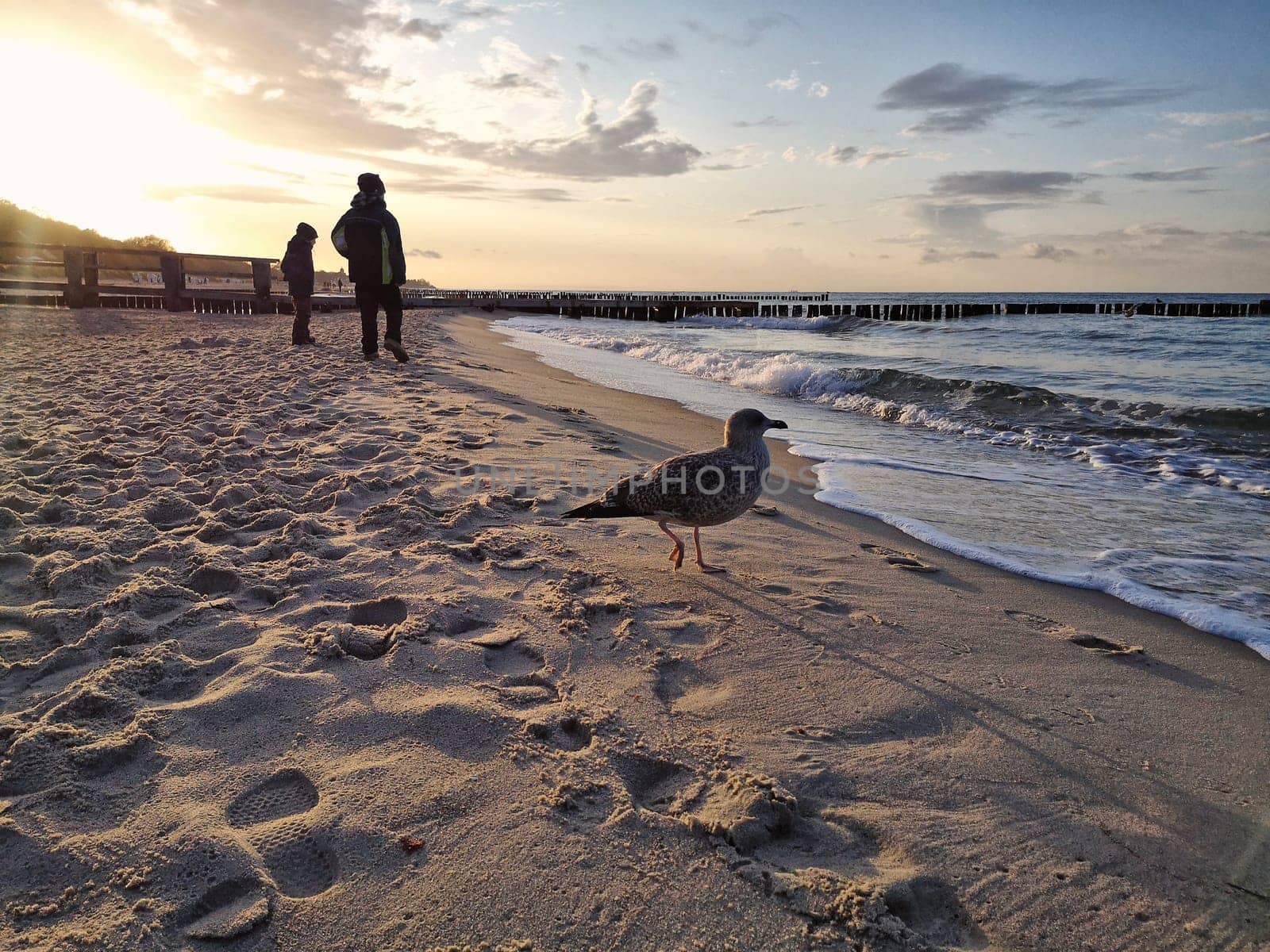 Mecklenburg Baltic Sea coast, Kühlungsborn