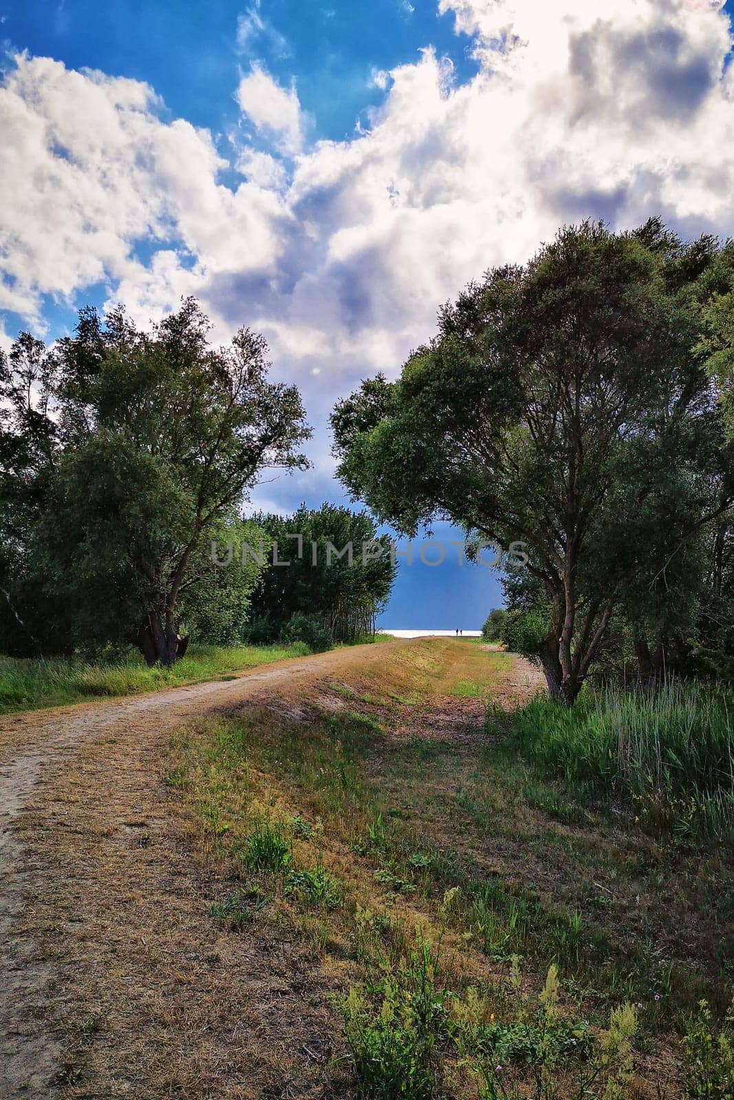 landscape near Groß Zicker, Ruegen Island, Germany