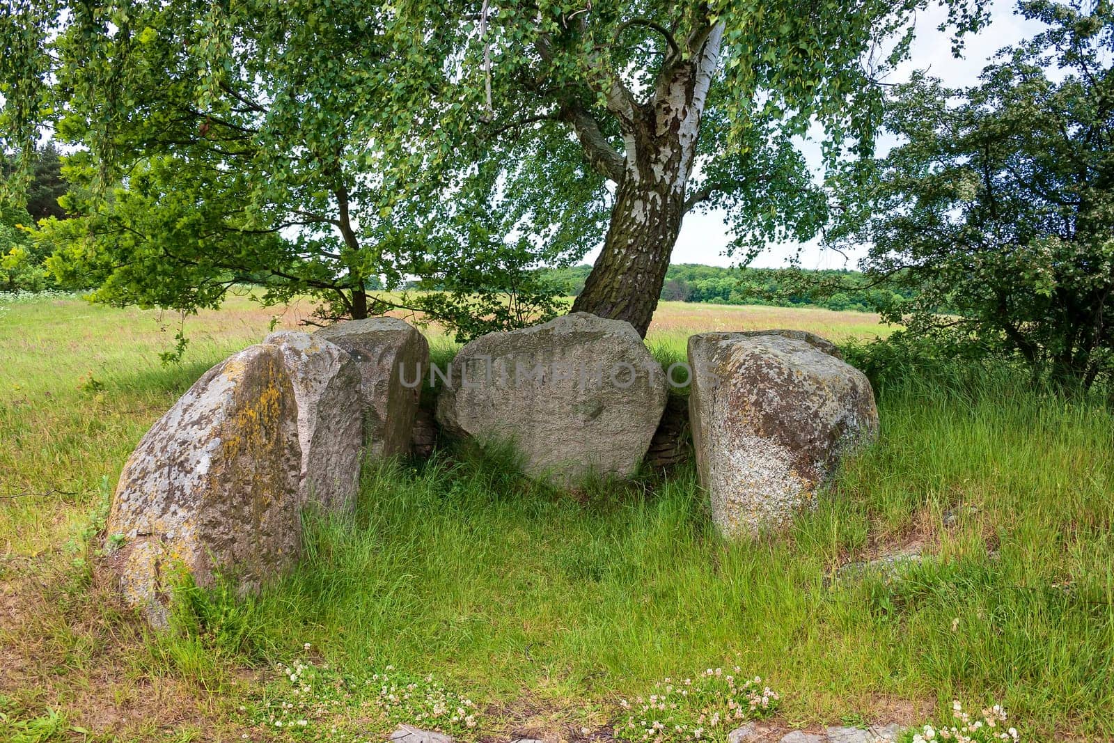 big stone tomb under birch, island of Ruegen