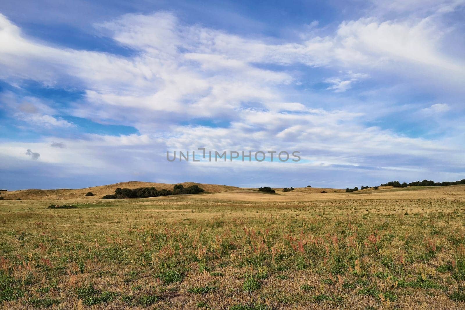 Mönchguter Boddenlandschaft bei Groß Zicker, Insel Rügen am Greifswalder Bodden