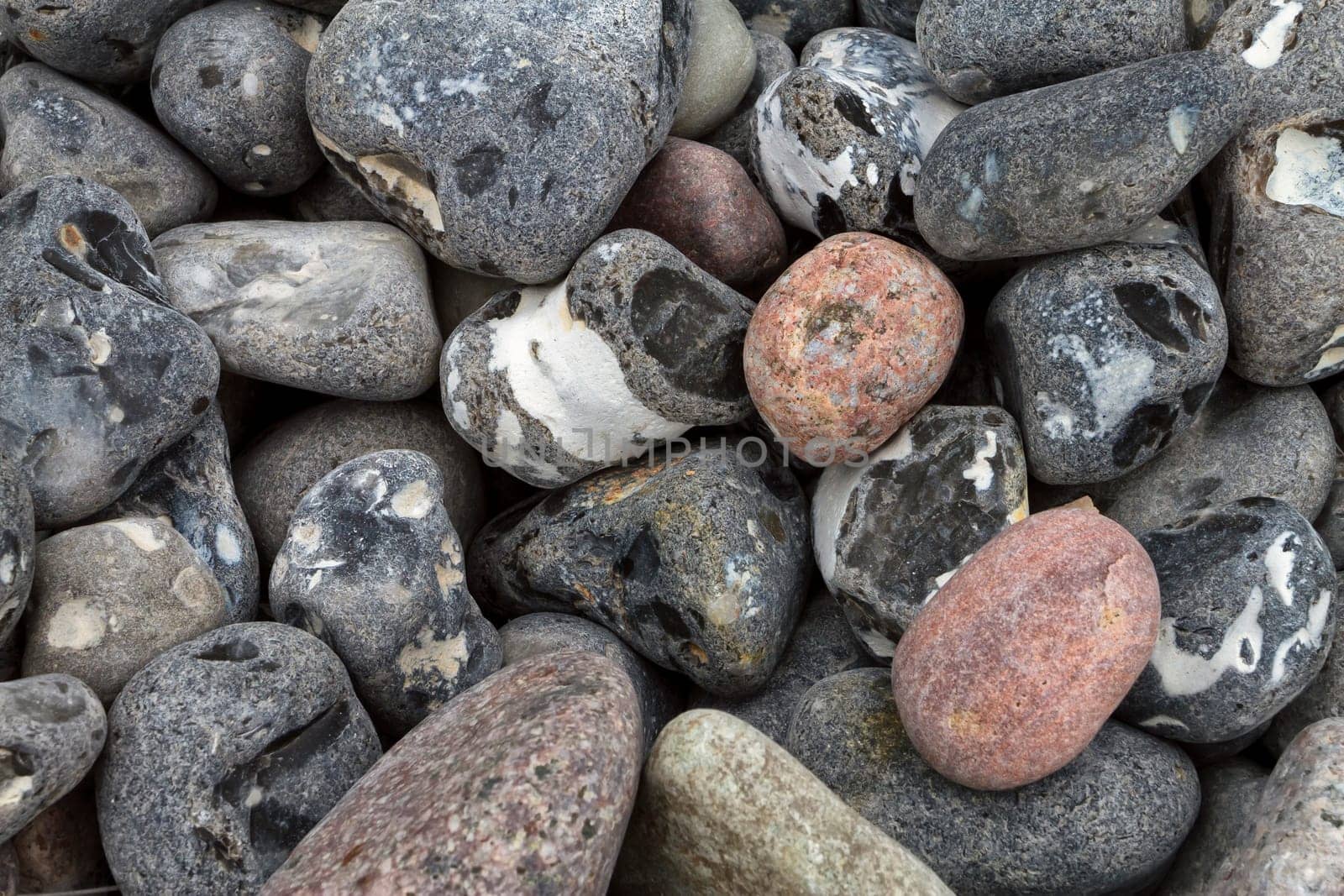 Chalk coast in the Jasmund National Park, Ruegen island