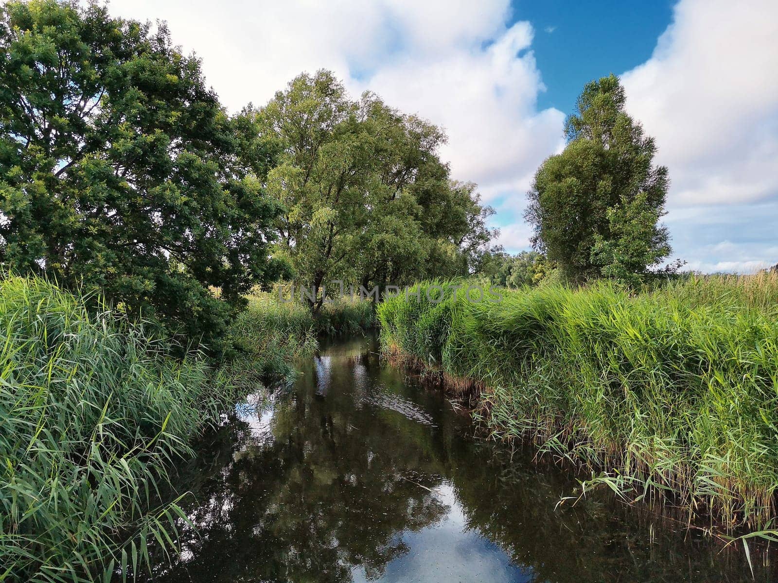 Ruegen island, Mönchguter landscape near Lobbe