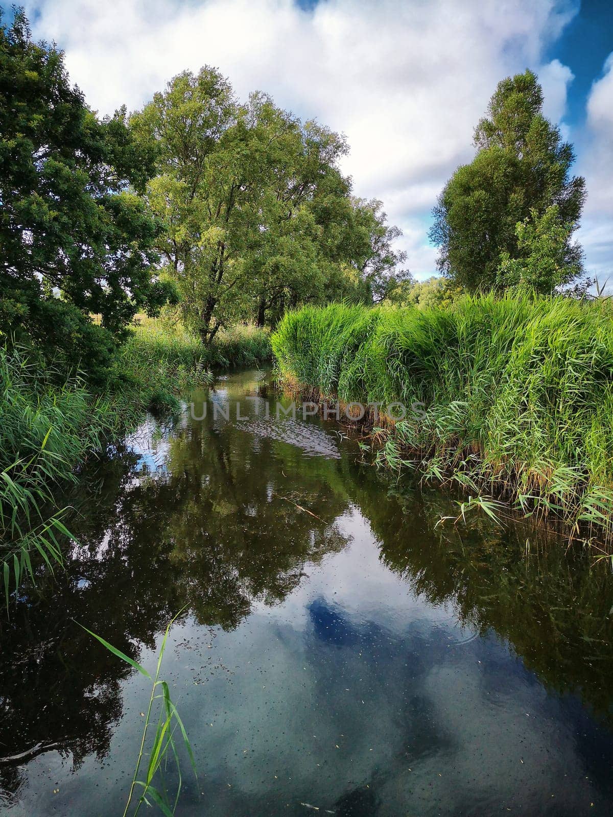 Ruegen island, Mönchguter landscape near Lobbe
