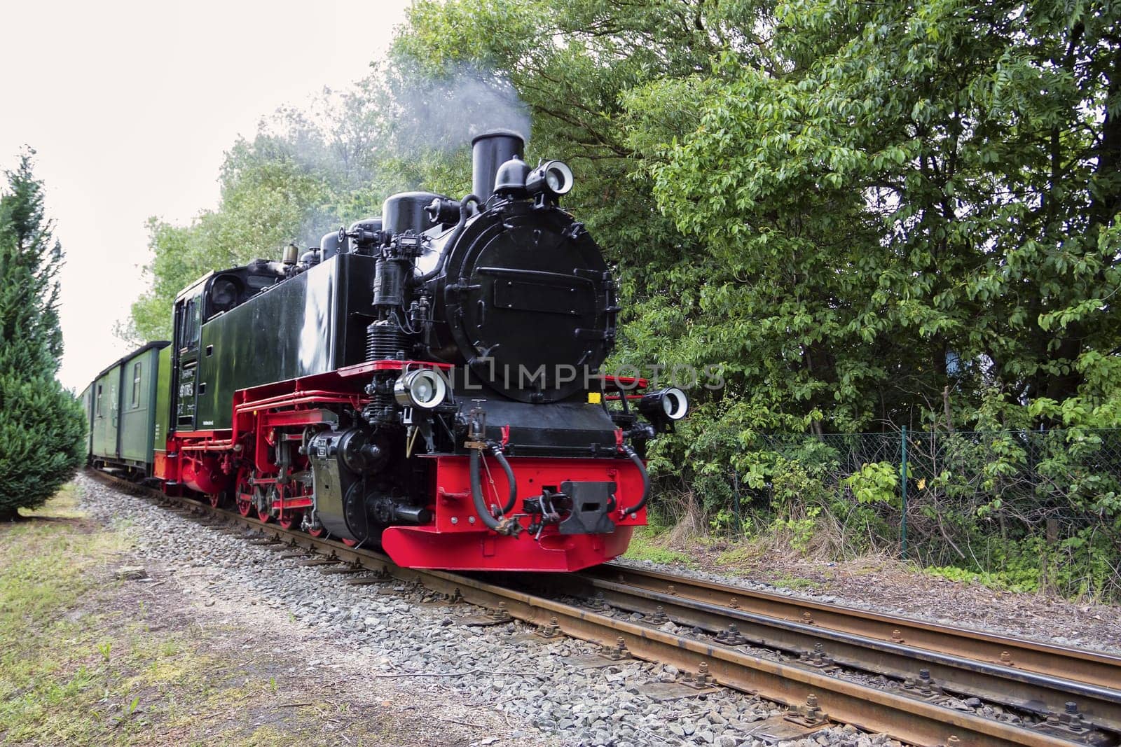 Rügen small train "Rasender Roland"", island of Rügen"