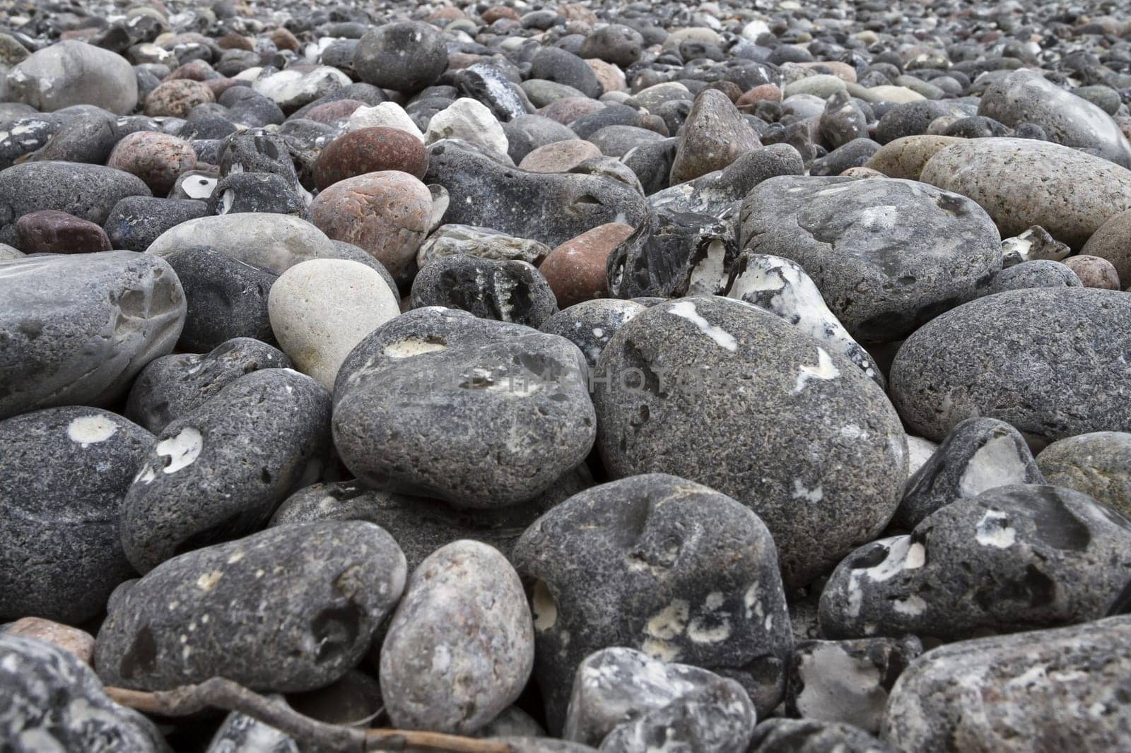 Chalk coast in the Jasmund National Park, Ruegen island