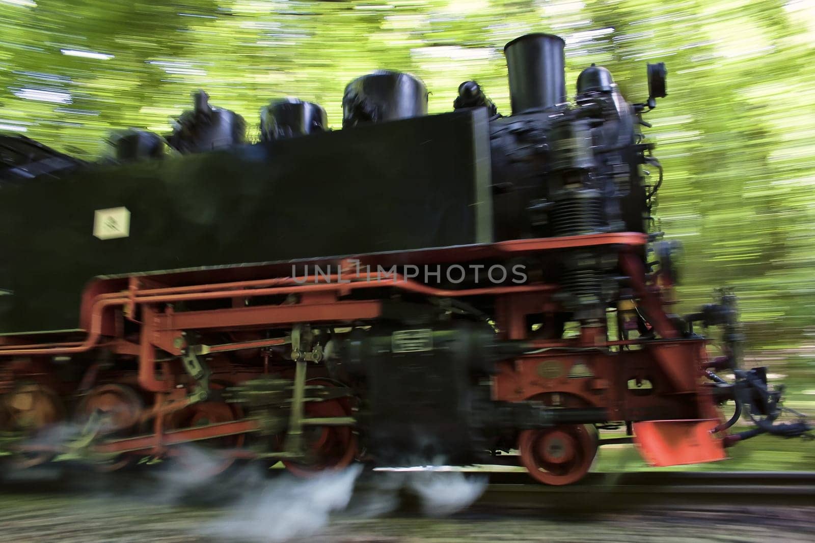 Rügen small train "Rasender Roland"", island of Rügen"
