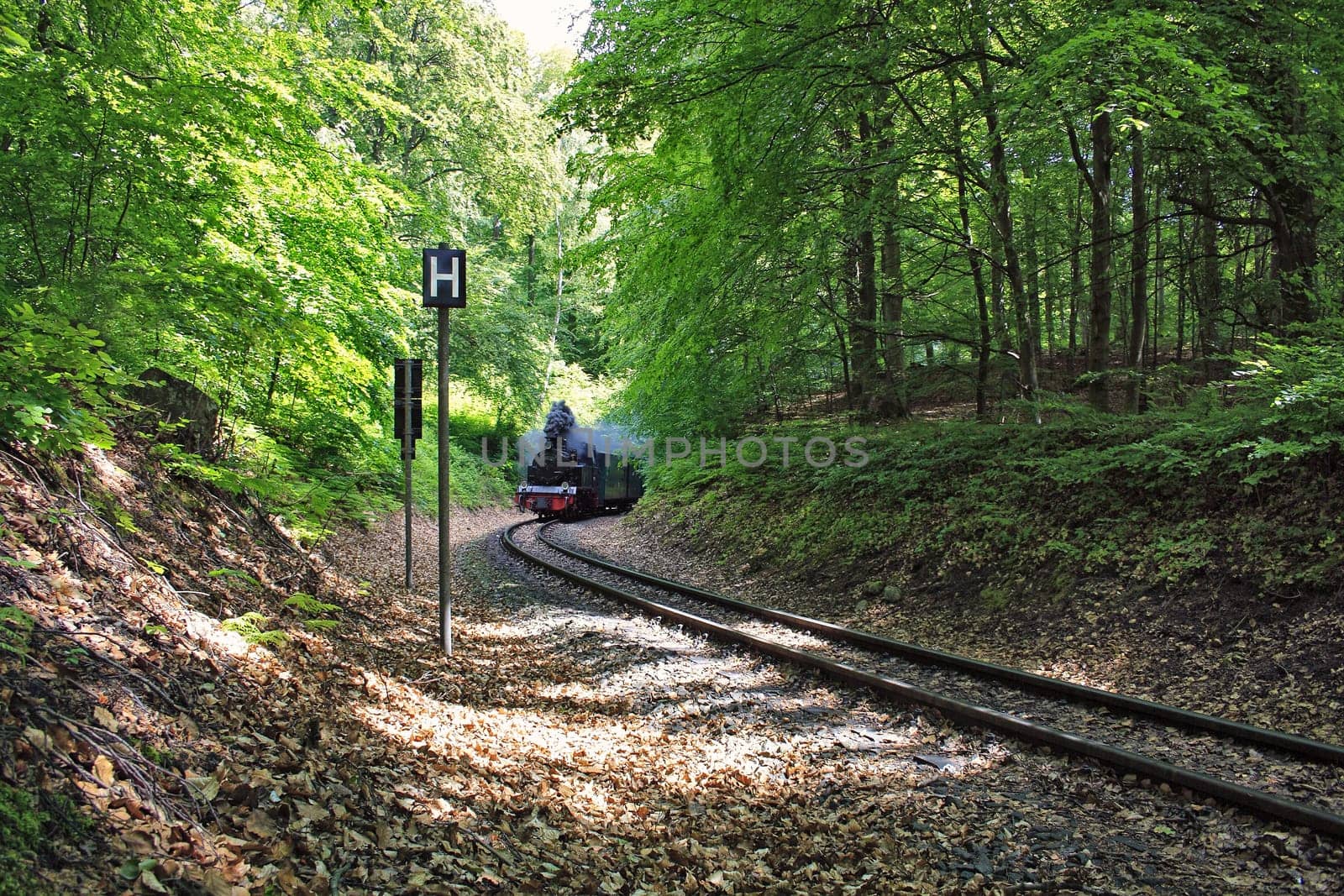 Rügen small train "Rasender Roland"", island of Rügen"