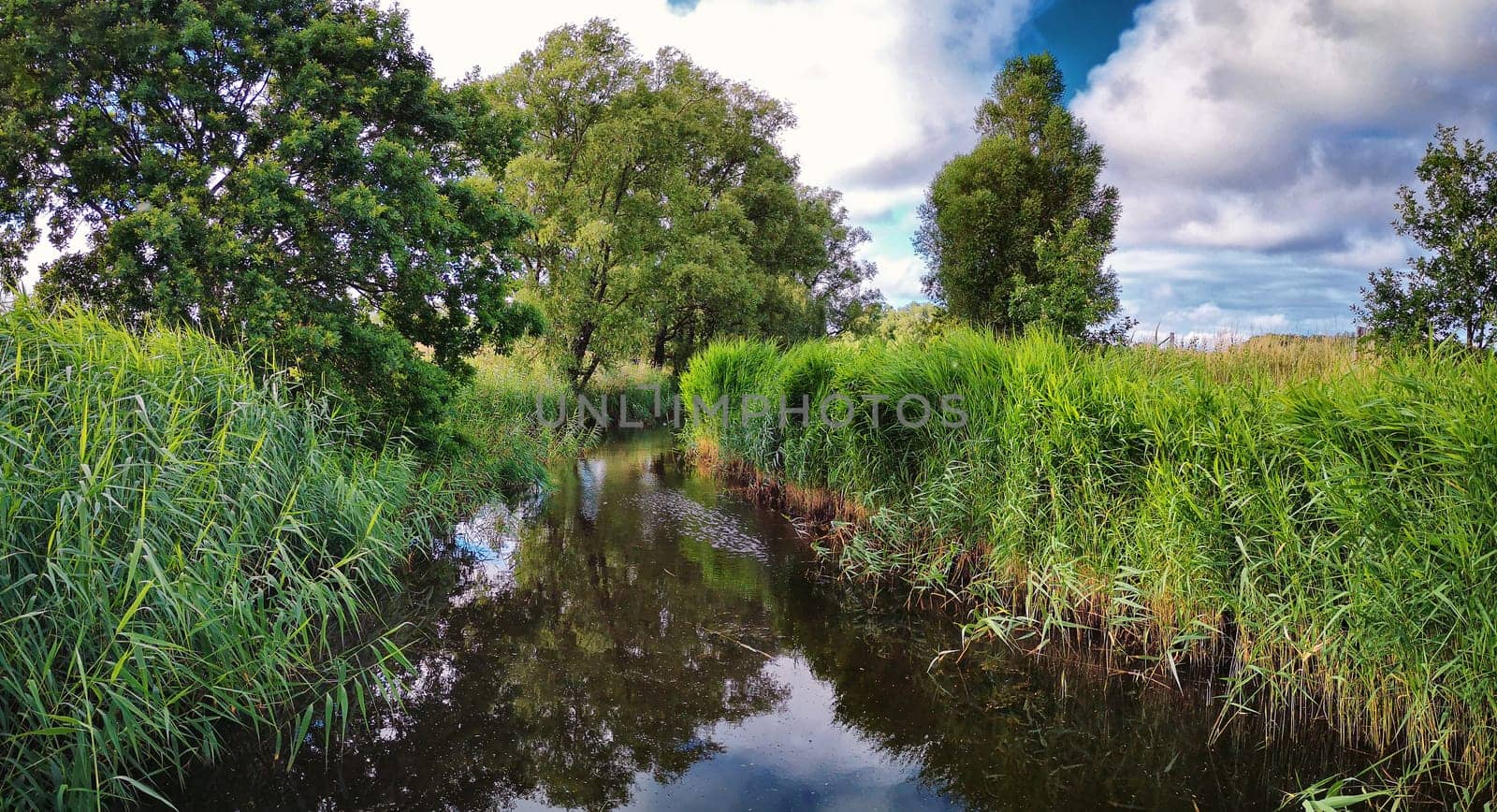 Ruegen island, Mönchguter landscape near Lobbe