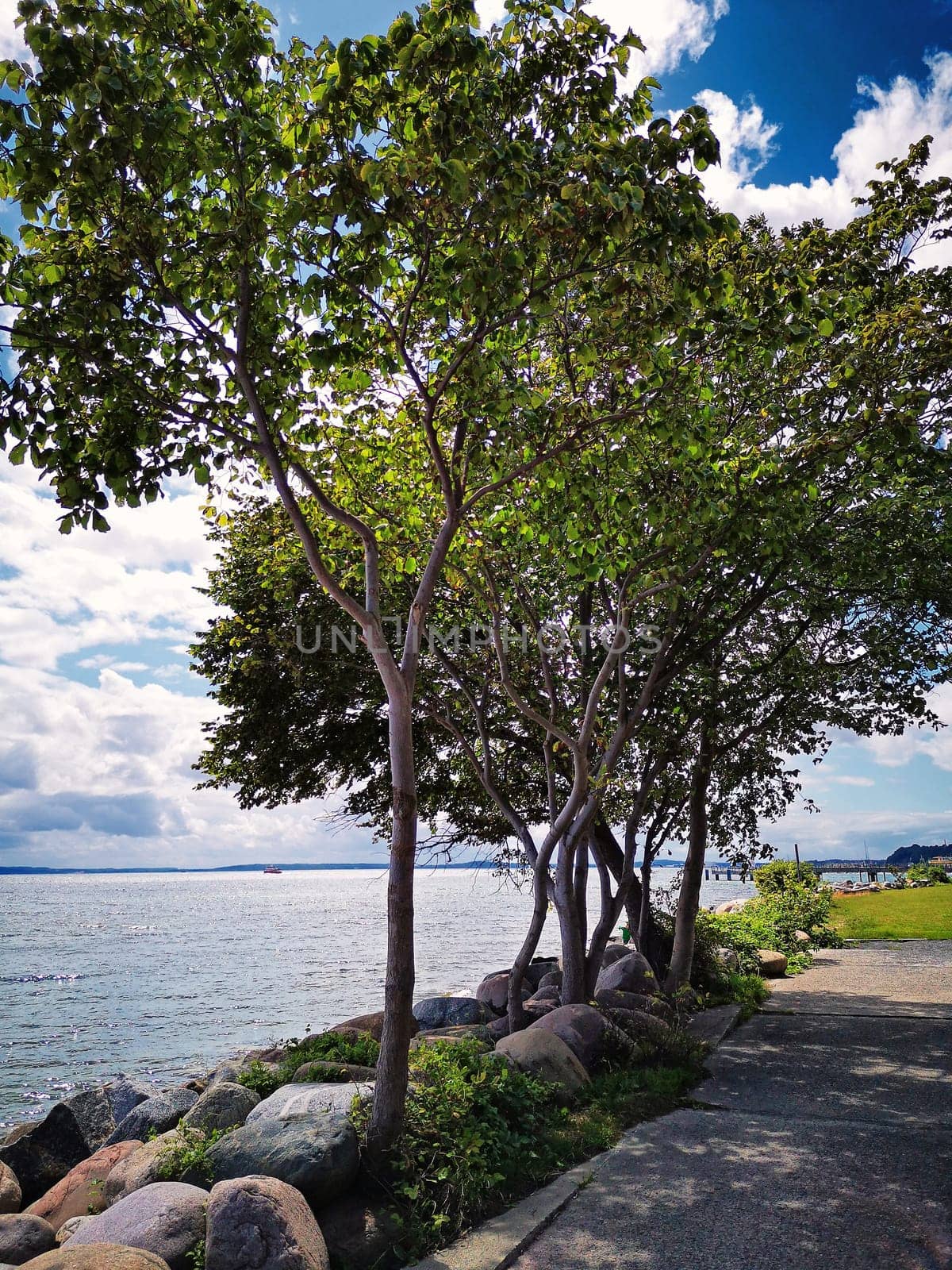 Sassnitz, Mecklenburg Baltic Sea Coast, Ruegen Island