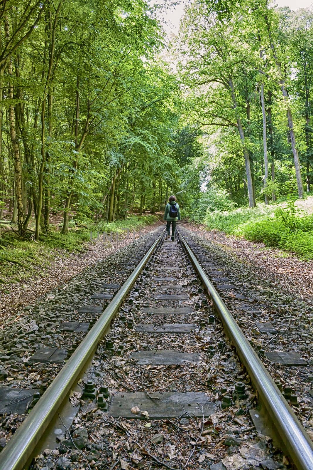 Narrow gauge line "Rasender Roland"", island of Rügen"