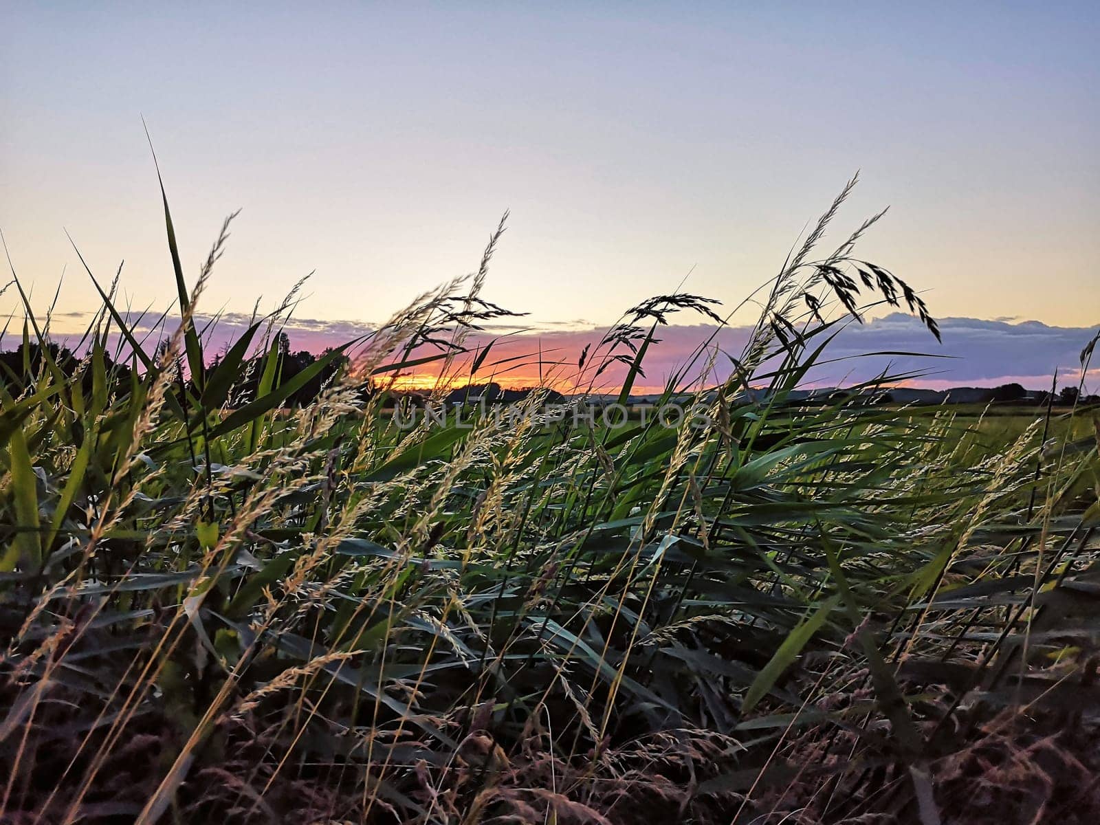 Sonnenuntergang überm Mönchgut, Insel Rügen