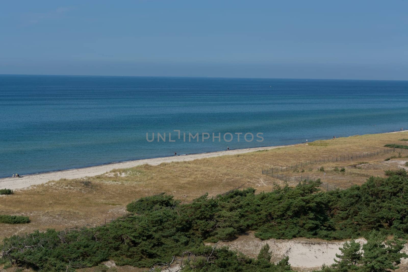 PREROW ON THE DARS - AUGUST 02, 2018:..Prerow on the Darss, Vorpommersche Boddenlandschaft National Park, Germany