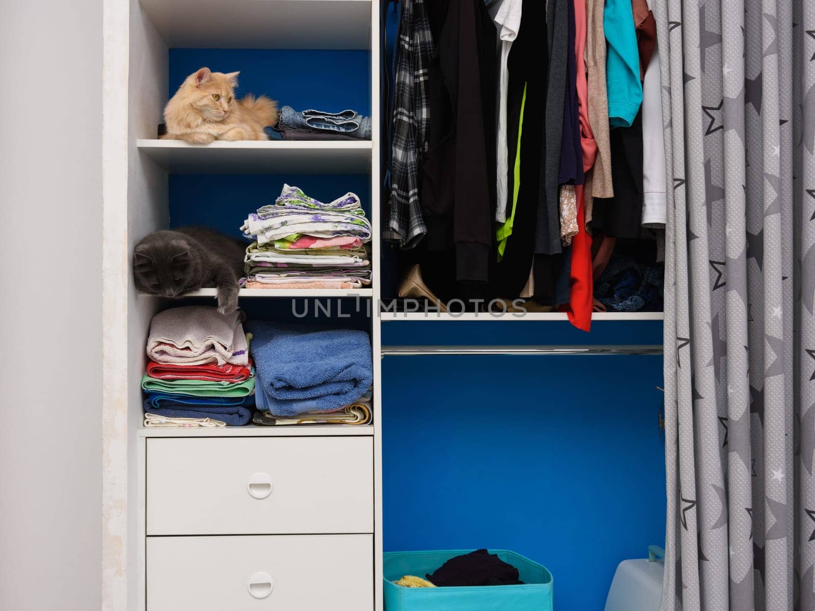 In an open closet, on shelves with things, two cats are sitting on different shelves