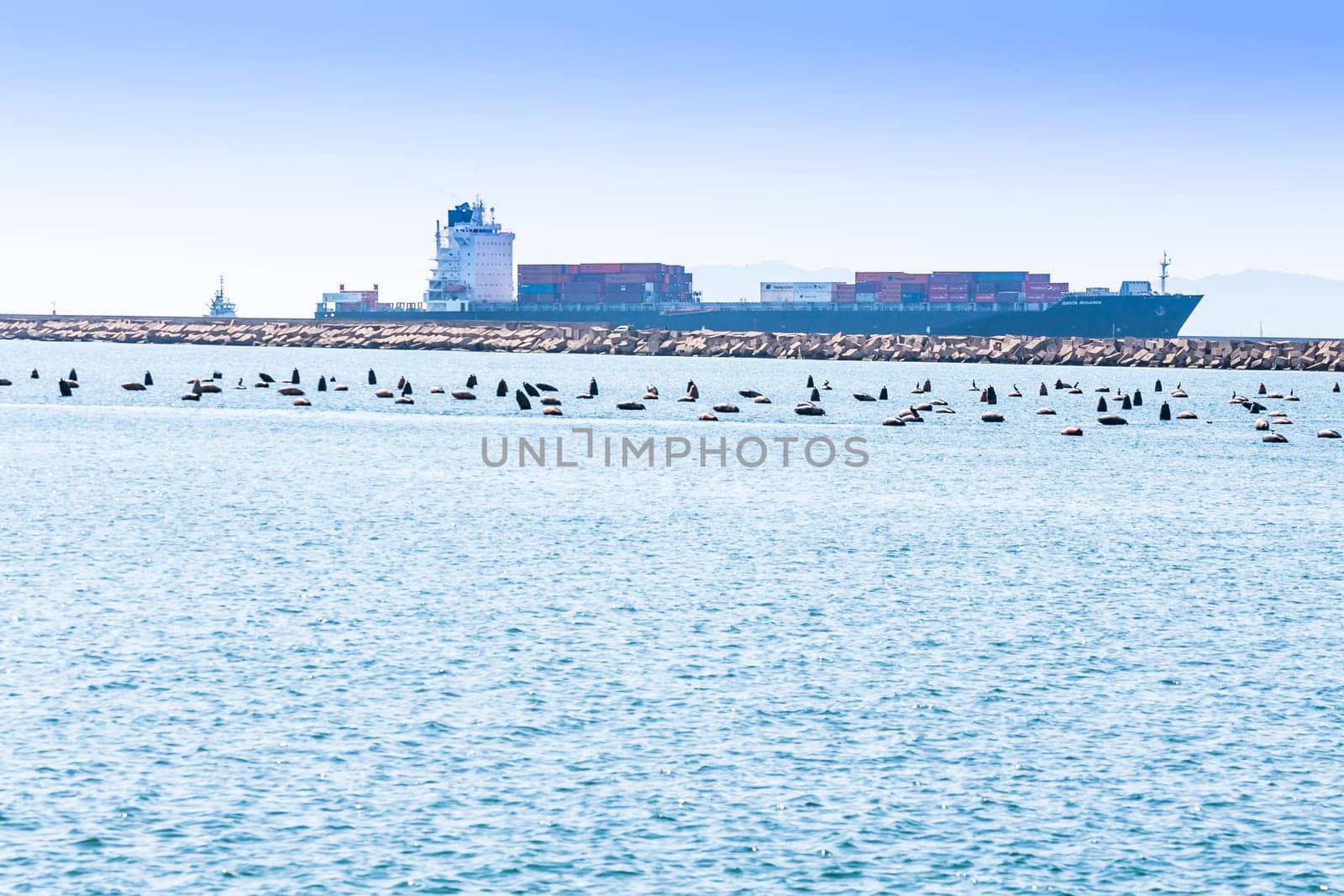 Cagliari - Italy - 8 March 2015