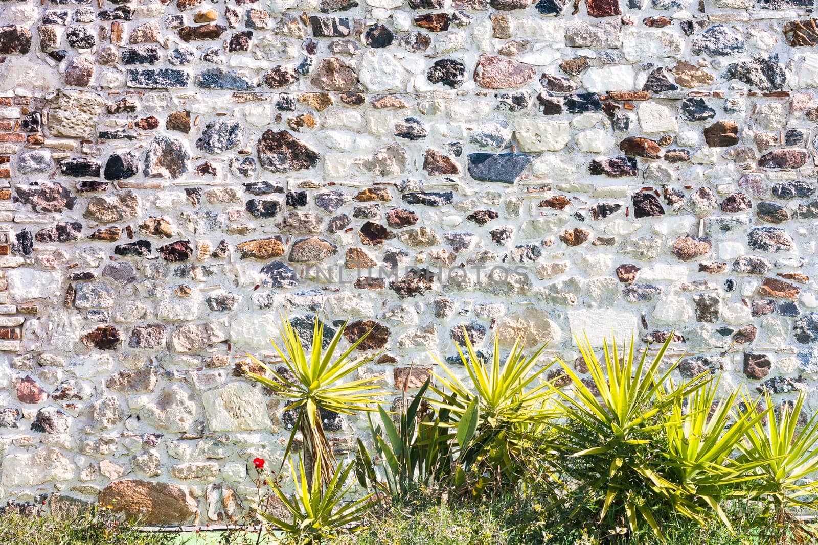 Stone wall with plants. particular of a stone house.