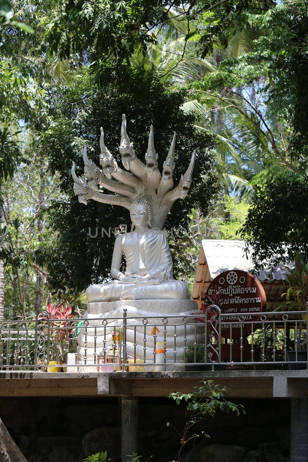Buddhist temples in the jungle in Thailand