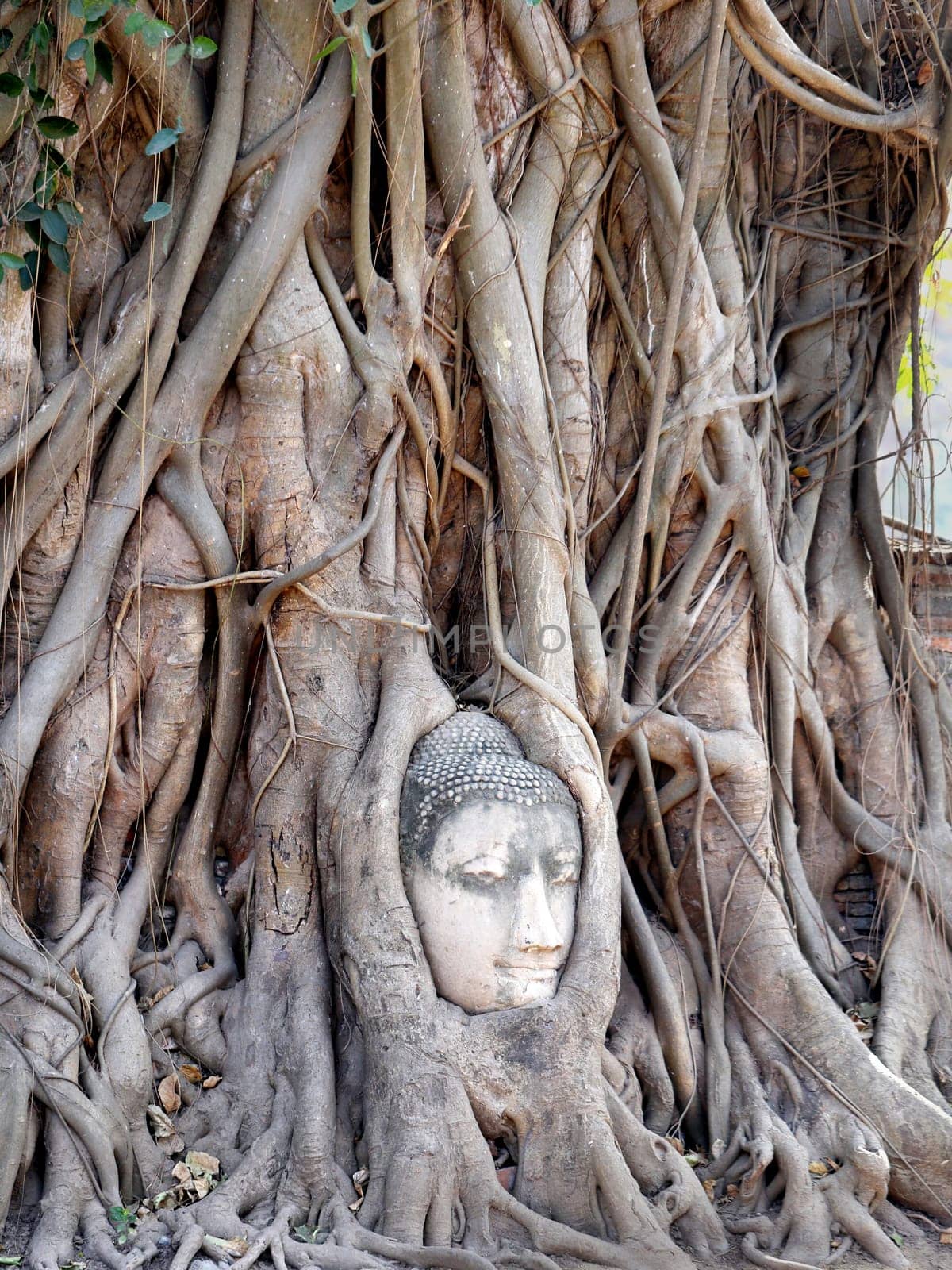 Buddhist temples in the jungle in Thailand