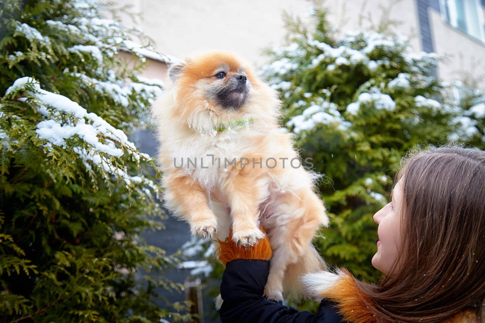 A woman lovingly holds her fluffy Pomeranian dog amid snow-covered trees, enjoying a winter day outdoors.