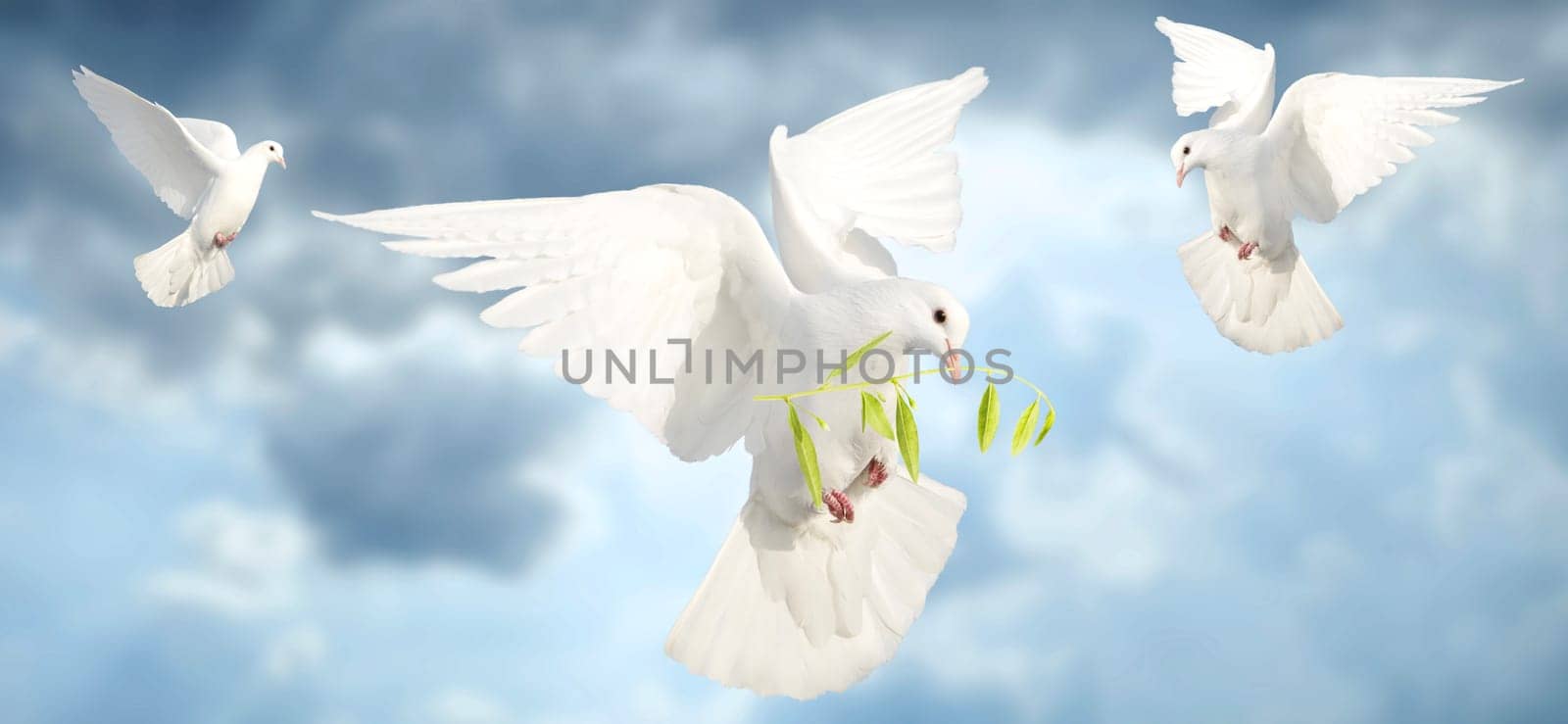 white doves of peace flying against the sky, peace, peace agreements