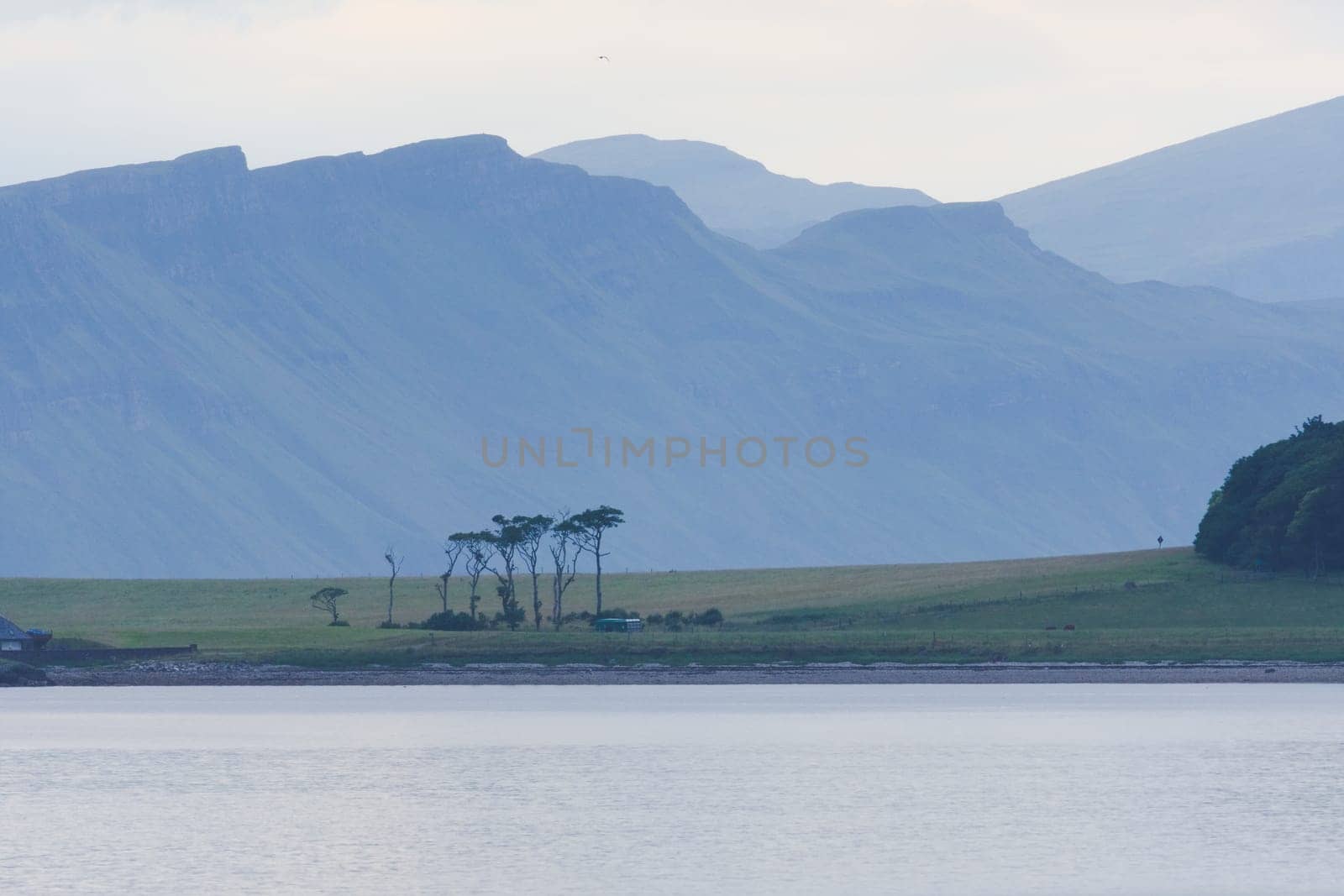 Dramatic scottish coastal cliffs, part of a telephoto landscape behind an unusual bunch of trees on the isle of raasay. Blue and green color tone.
