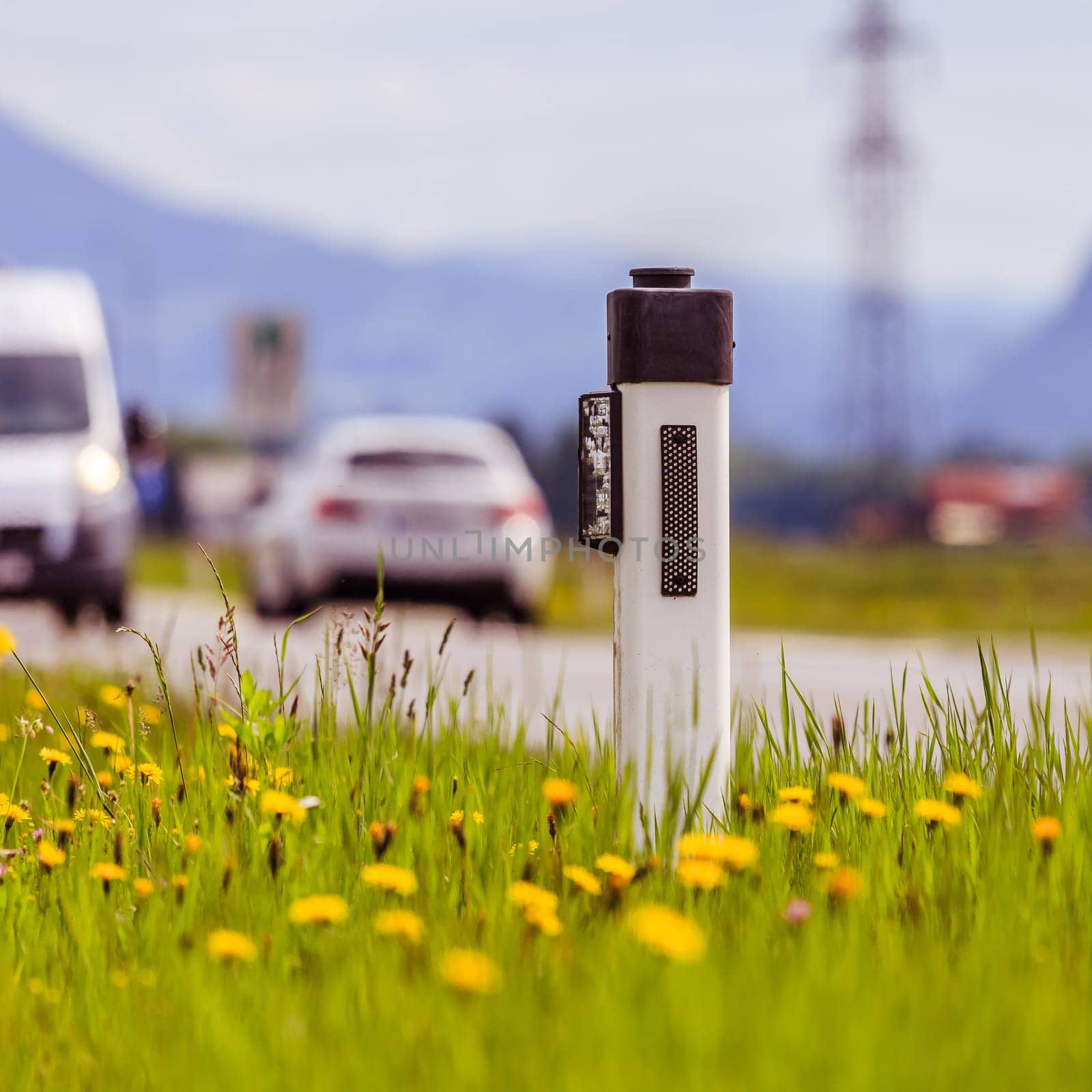 Reflector post and cars at an idyllic asphalted road in summer, flowers and green grass