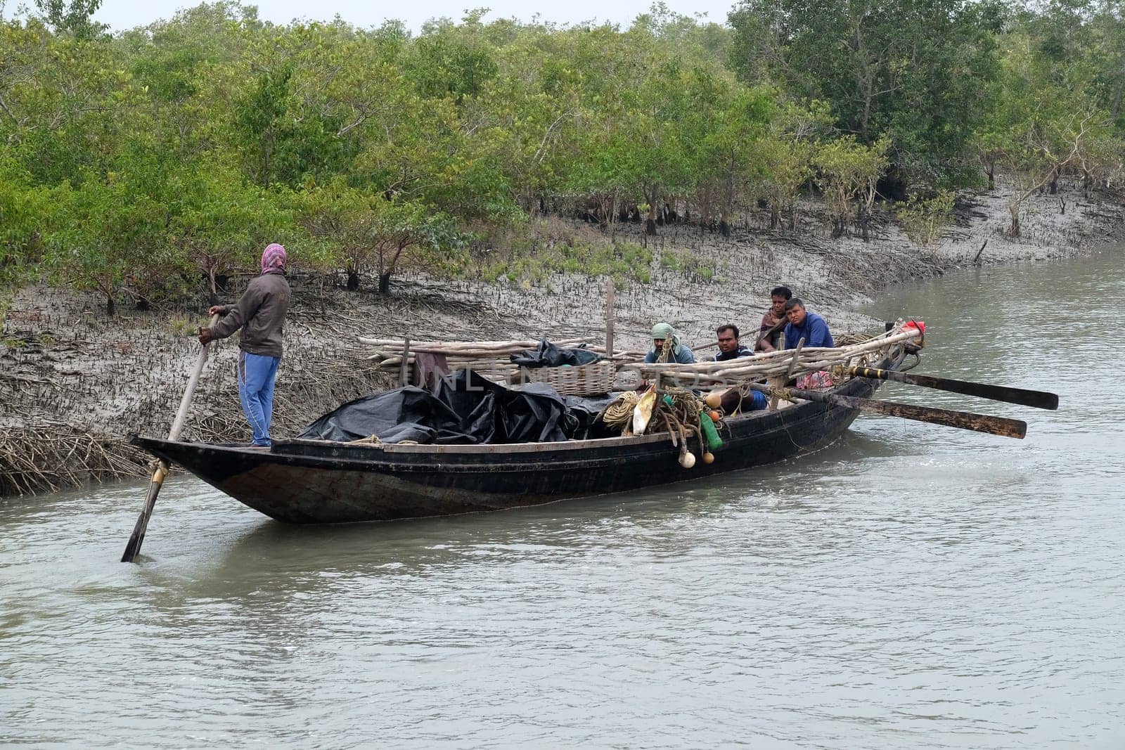 Rowing boat in the swampy areas of the Sundarbans, UNESCO World Heritage Site, India