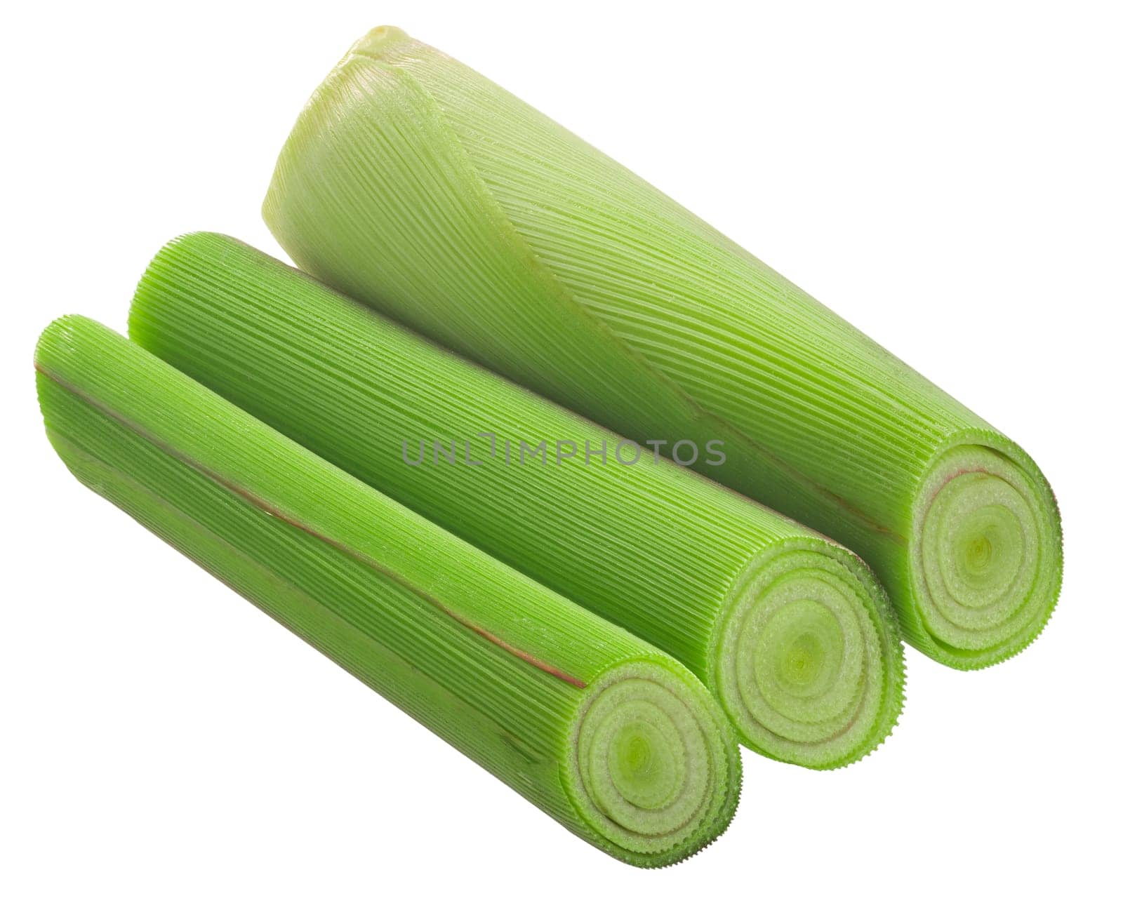 Stack of cut Lemongrass stem (Cymbopogon citratus) isolated