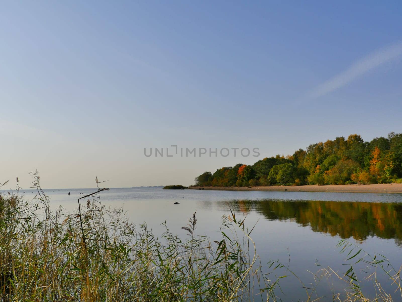 beautiful autumn landscape blue sky motley forest reflected in water quiet morning at river