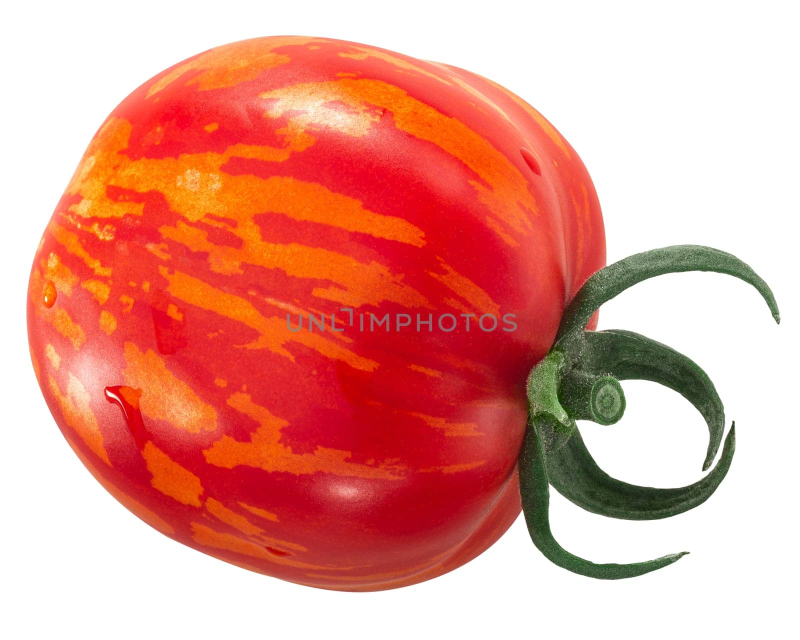 Striped Stuffer heirloom tomato, whole fruit, isolated