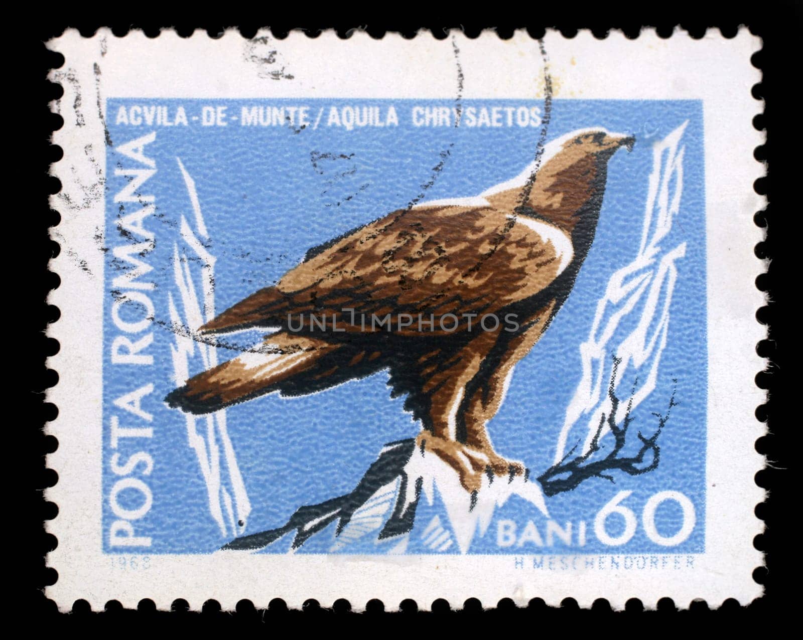 Stamp printed by Romania, show Golden eagle, circa 1968.