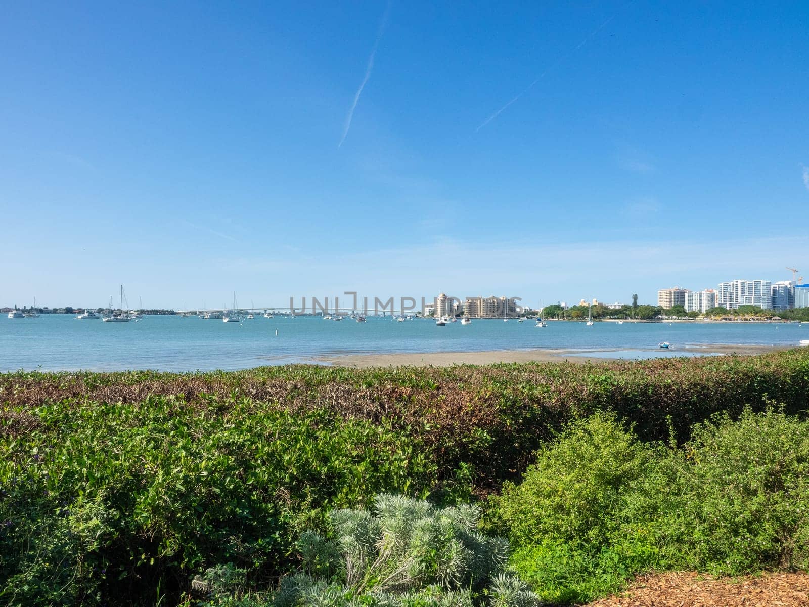 Sarasota Bay is a lagoon located off the central west coast of Florida in the United States. Though no significant single stream of freshwater enters the bay, with a drainage basin limited to 150 square miles in Manatee and Sarasota Counties.