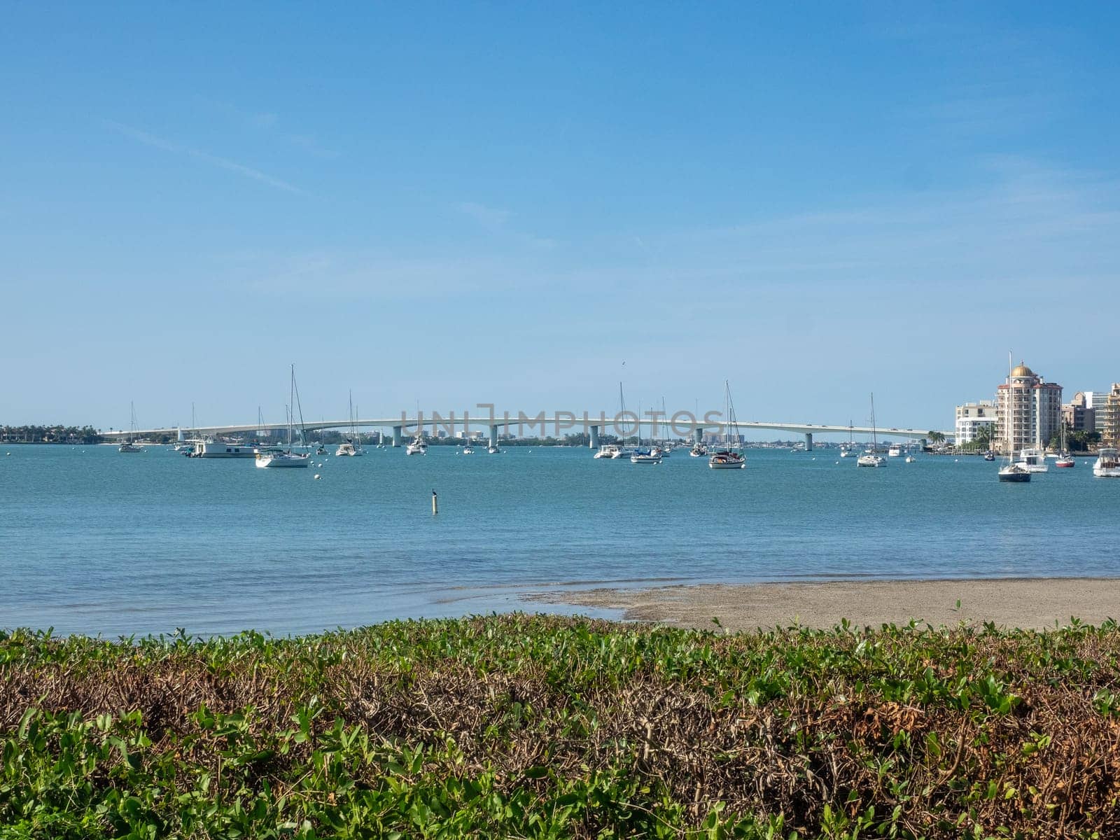 Sarasota Bay is a lagoon located off the central west coast of Florida in the United States. Though no significant single stream of freshwater enters the bay, with a drainage basin limited to 150 square miles in Manatee and Sarasota Counties.