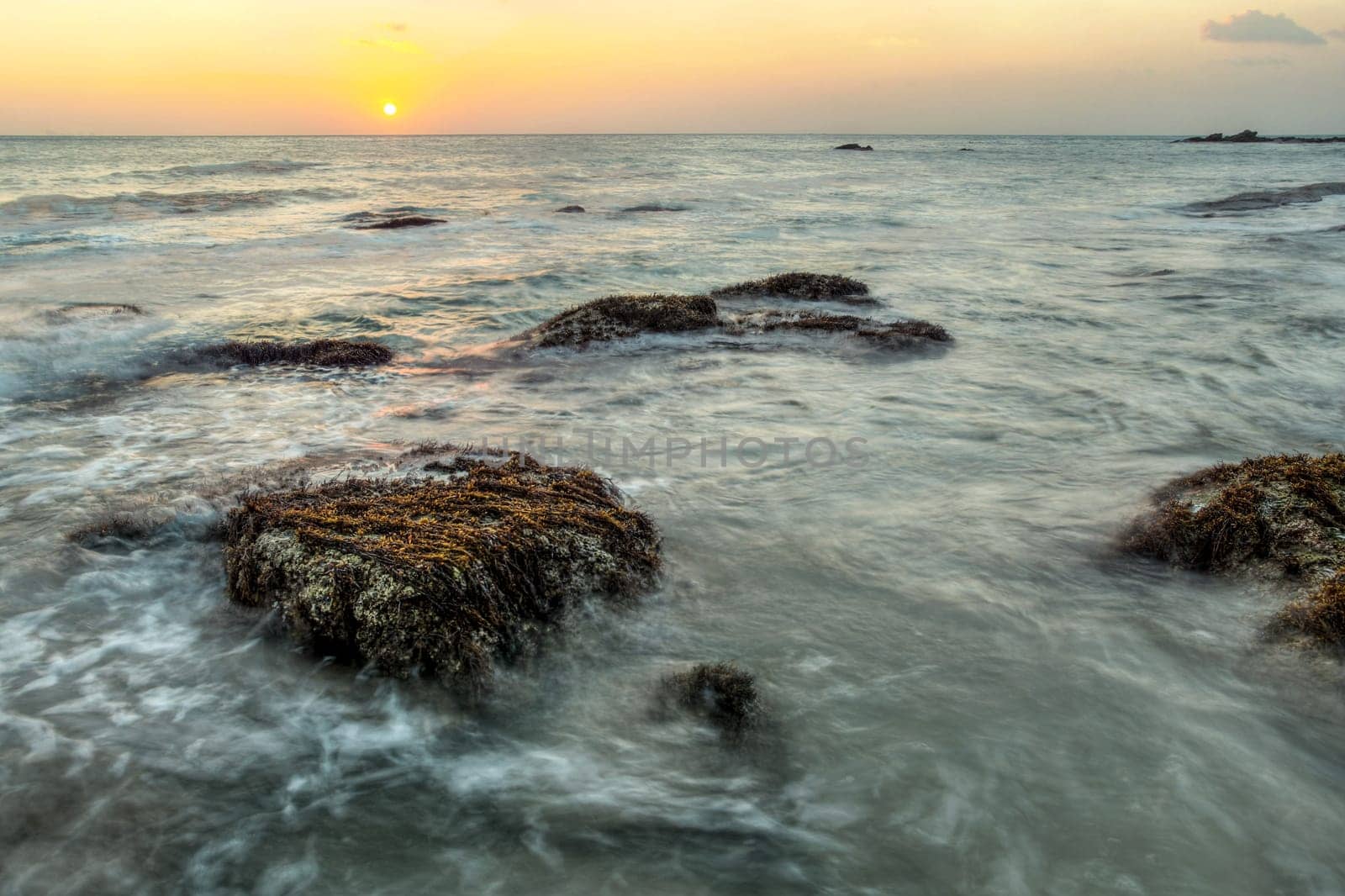 Long exposure shot of rocks covered with algae and sea weed not covered by sea during low tide, in sunset light. Koh Lanta, Thailand