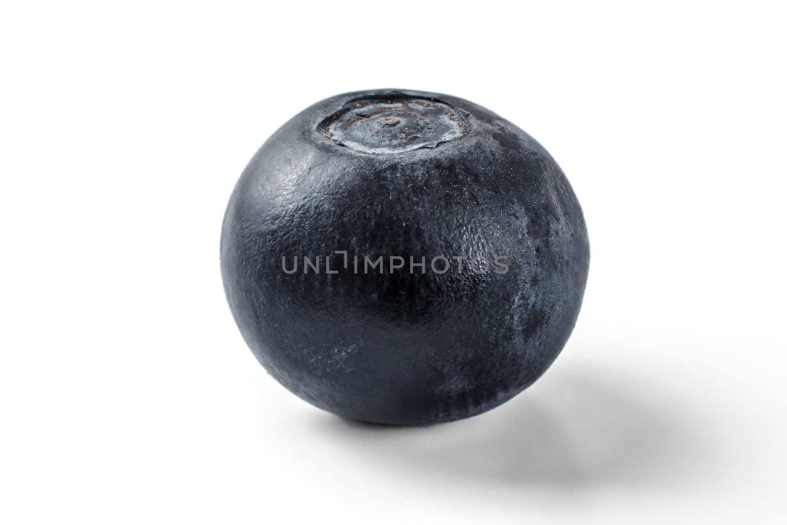 Single blueberry isolated on white background.