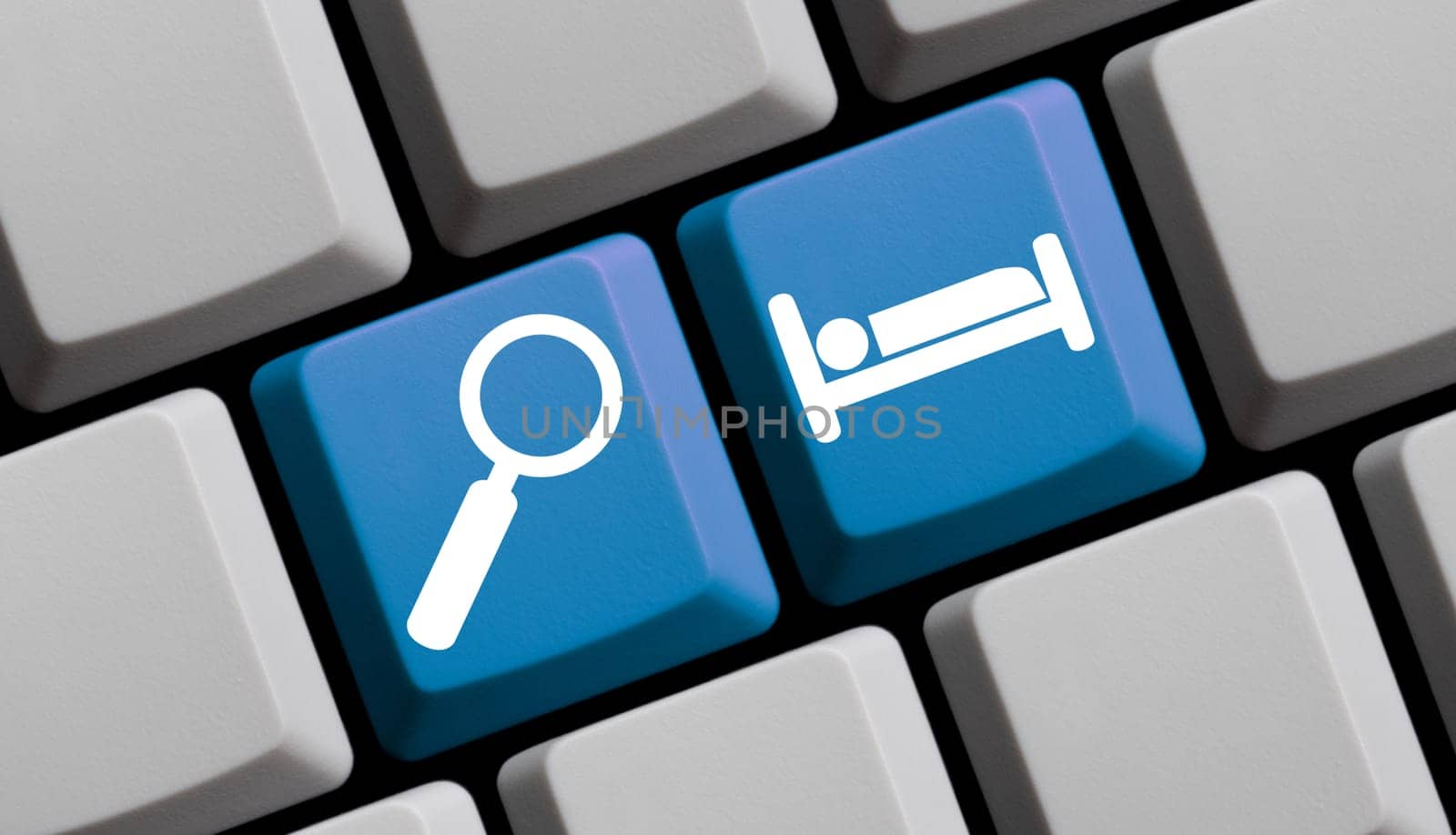 Search and find hotels online