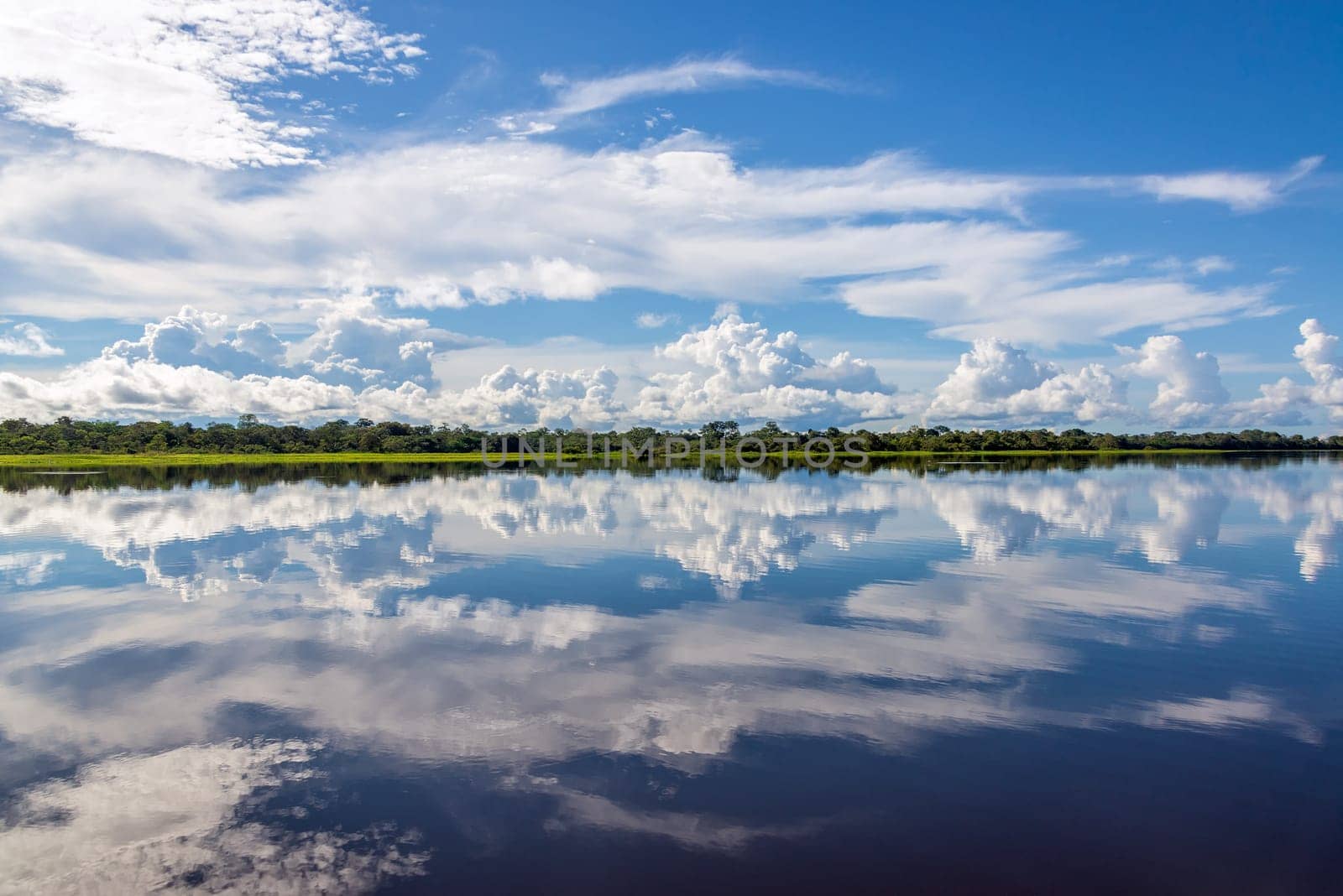 Sky reflected in water on a lake in the Amazon rainforest in Peru