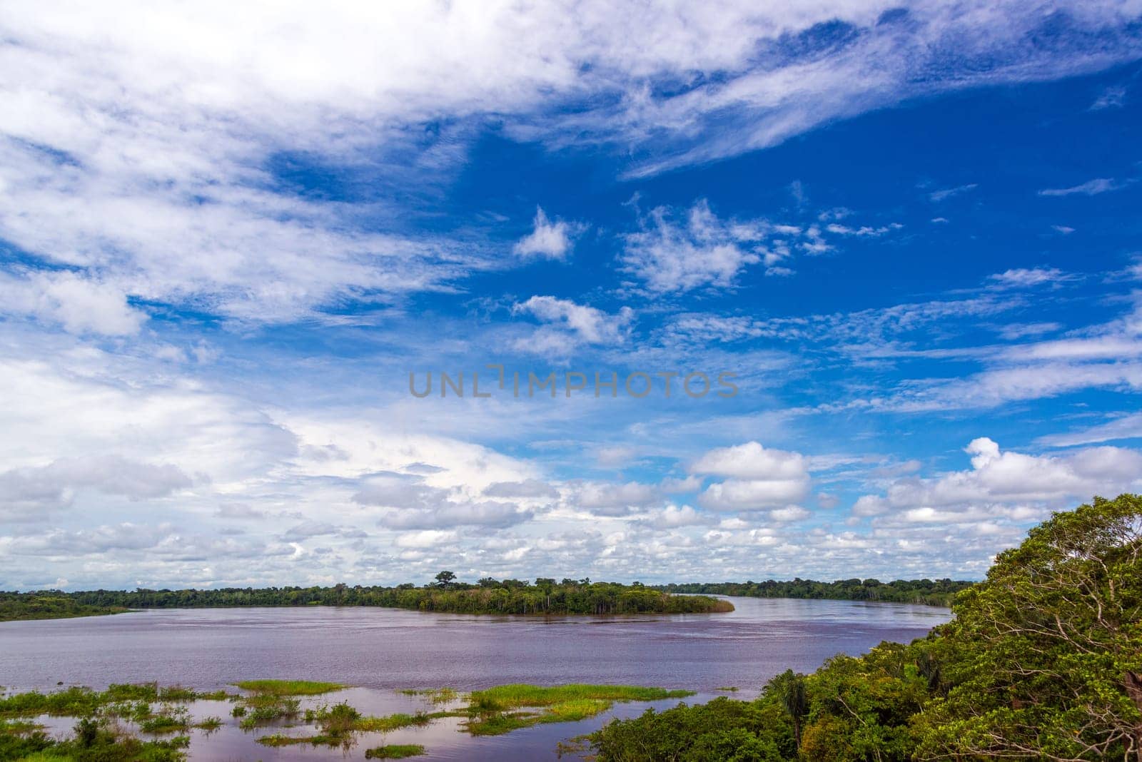 Dramatic blue sky over the Javari River in the Brazilian Amazon