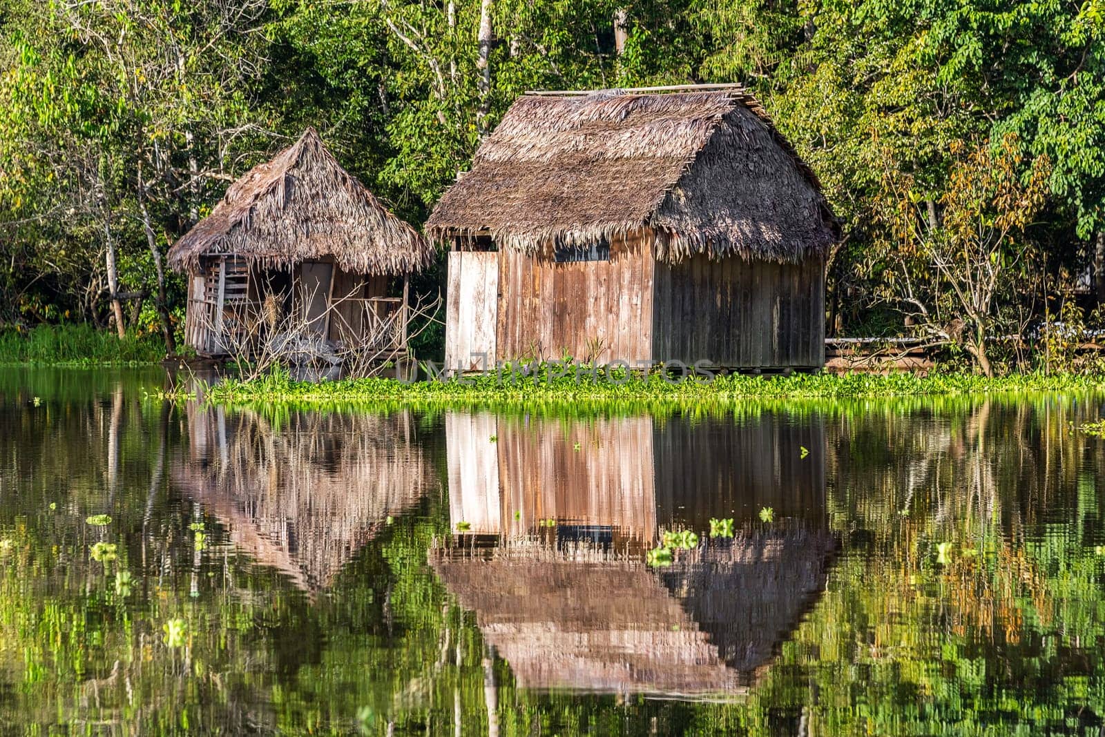 Two shacks reflected in the Amazon rainforest near Iquitos, Peru