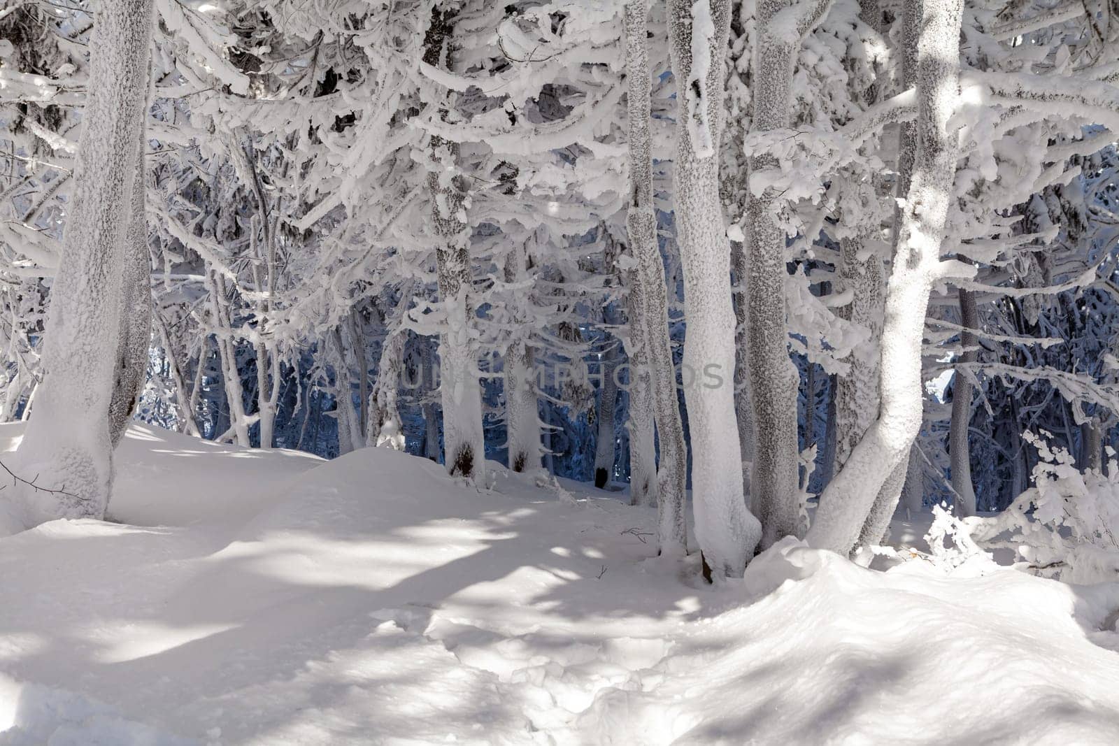 A snow covered landscape Czech Republic - Pustevny, Beskydy. High quality photo
