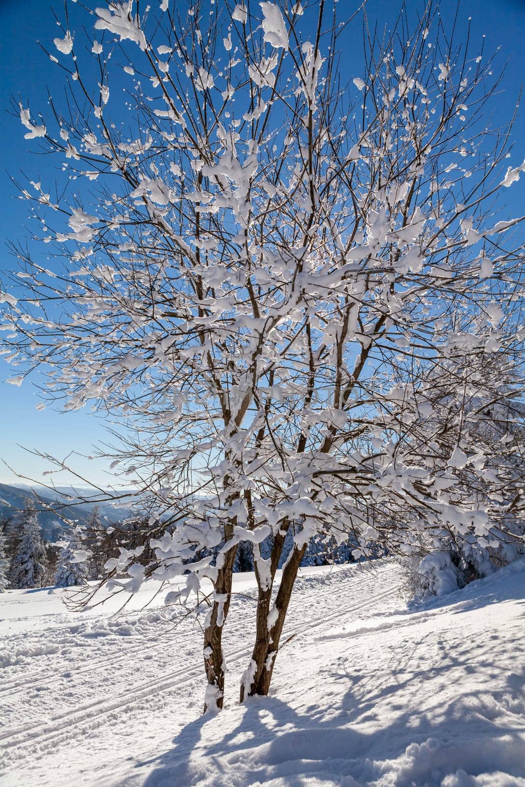 A snow covered landscape Czech Republic - Pustevny, Beskydy. High quality photo