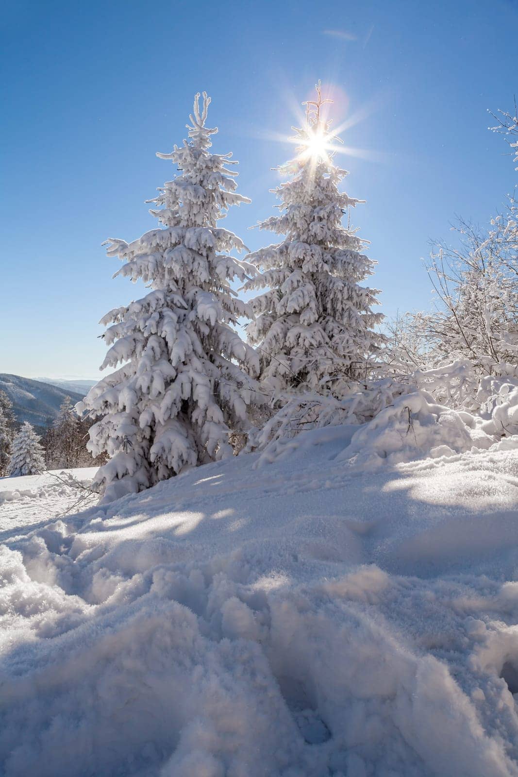 A snow covered landscape Czech Republic - Pustevny, Beskydy. High quality photo