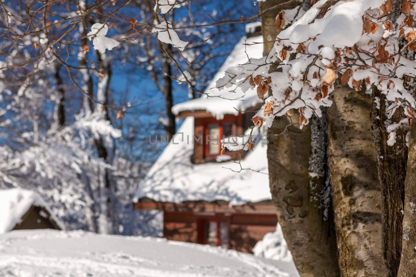 A snow covered landscape Czech Republic - Pustevny, Beskydy. High quality photo
