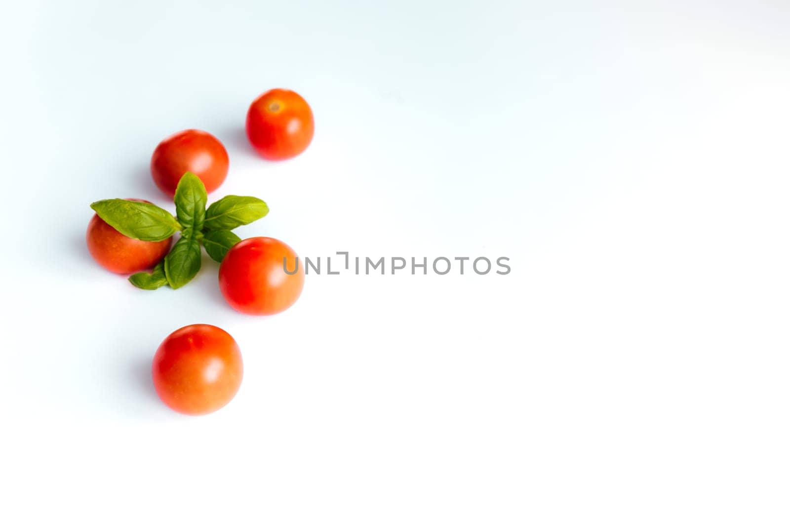 Red cherry tomatoes with green basil on a white background. High quality photo