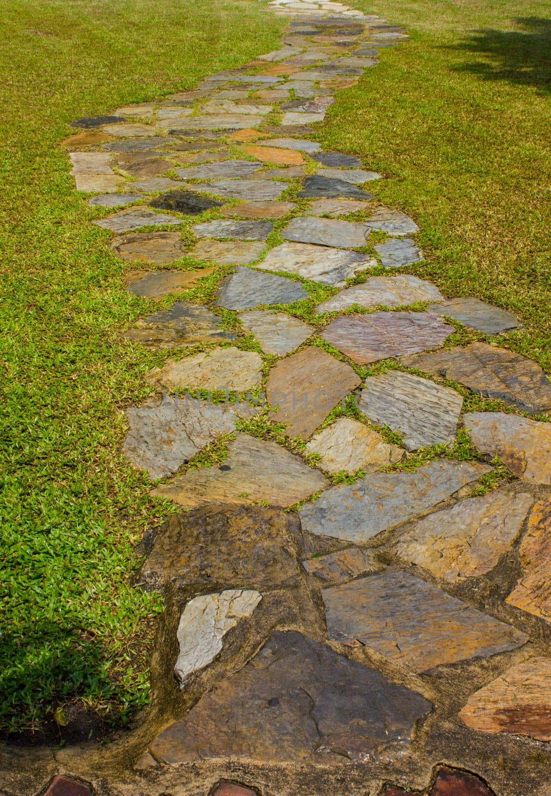 Stone way on green grass