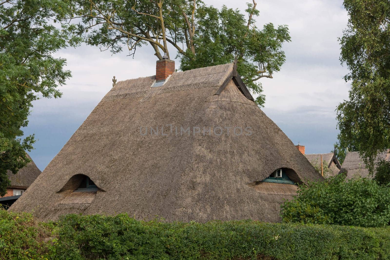 Houses on the Fischland-Darß with a thatched roof