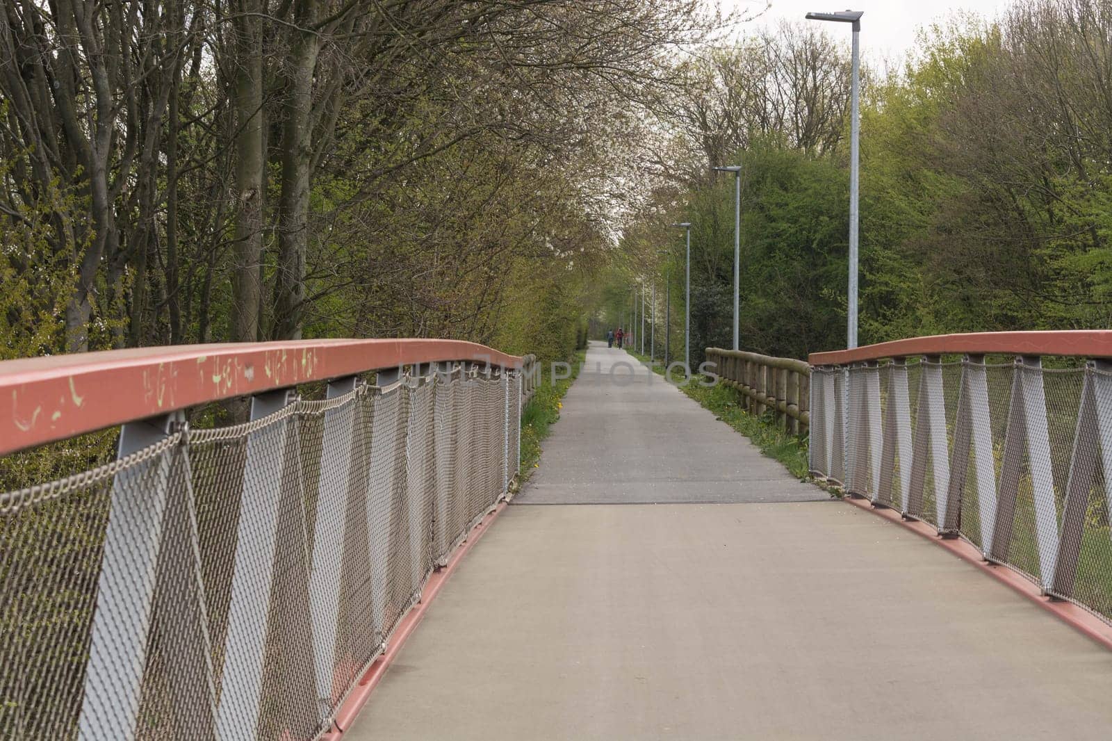 A bike path for cyclists. Bicycle lane in the park