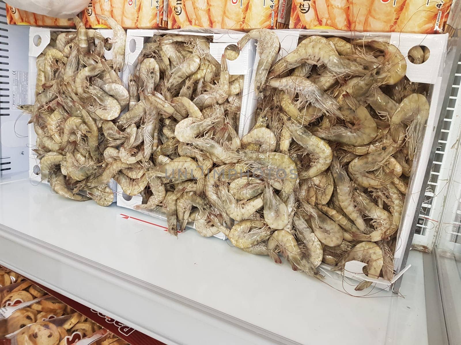 .Fresh fish at the fish market in the port of Malaga. Freshly caught fish on ice.