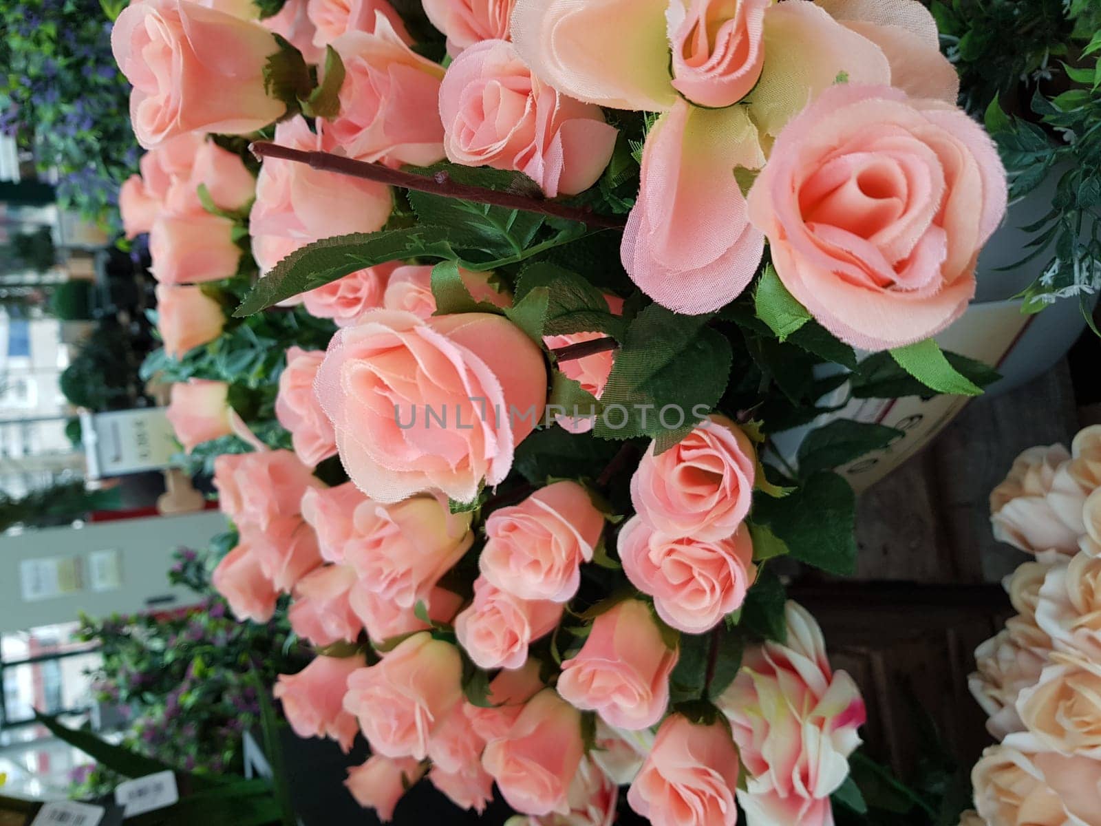 Different flowers, background, panorama..