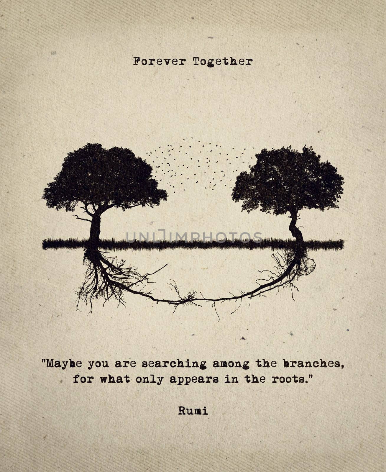 Maybe you are searching among the branches, for what only appears in the roots. Inspirational quote by Rumi together with a conceptual art. Two trees connected by roots. Relationship and togetherness